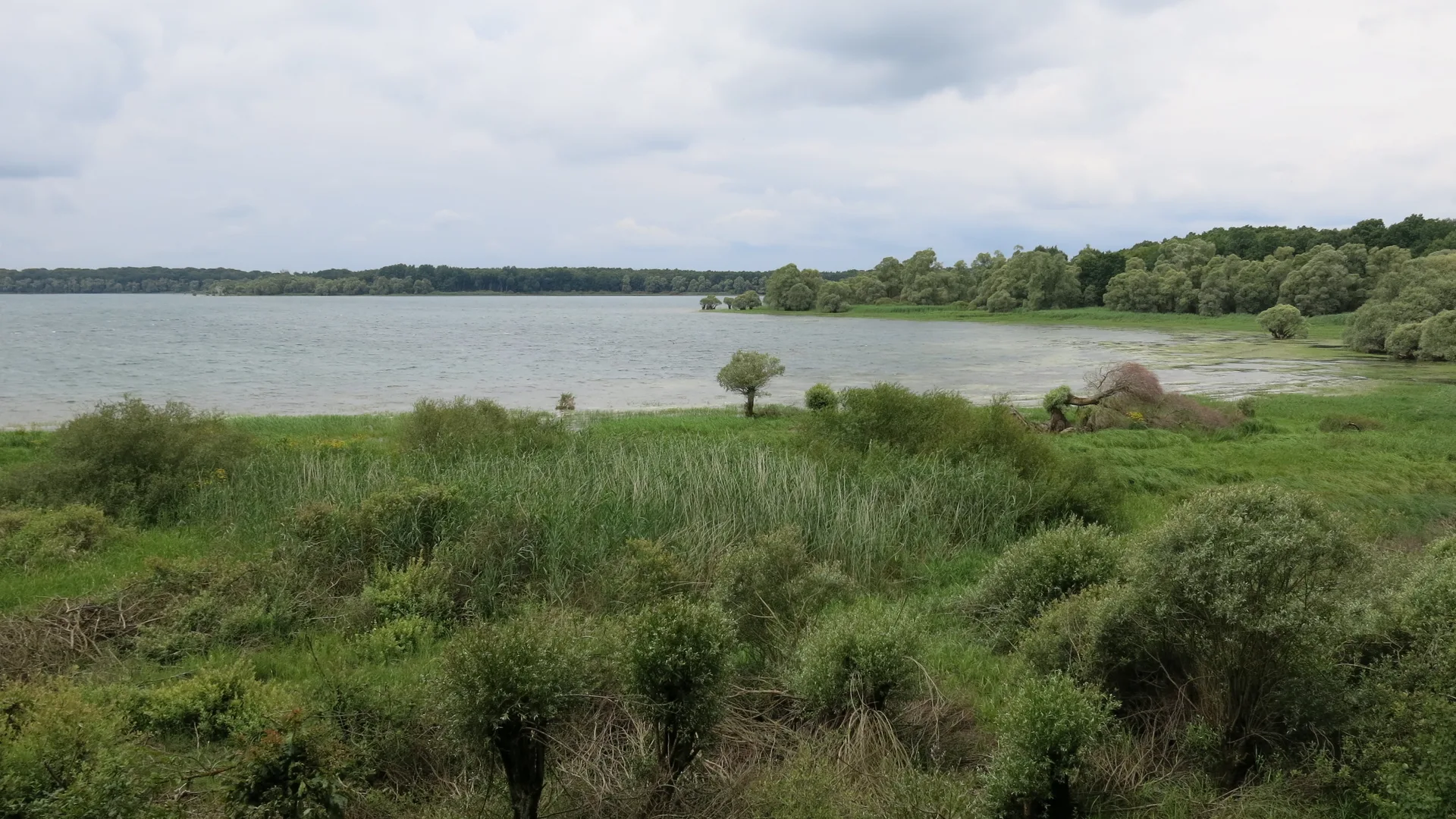 Lac d'Orient à Géraudot — À 3,1 km du lac