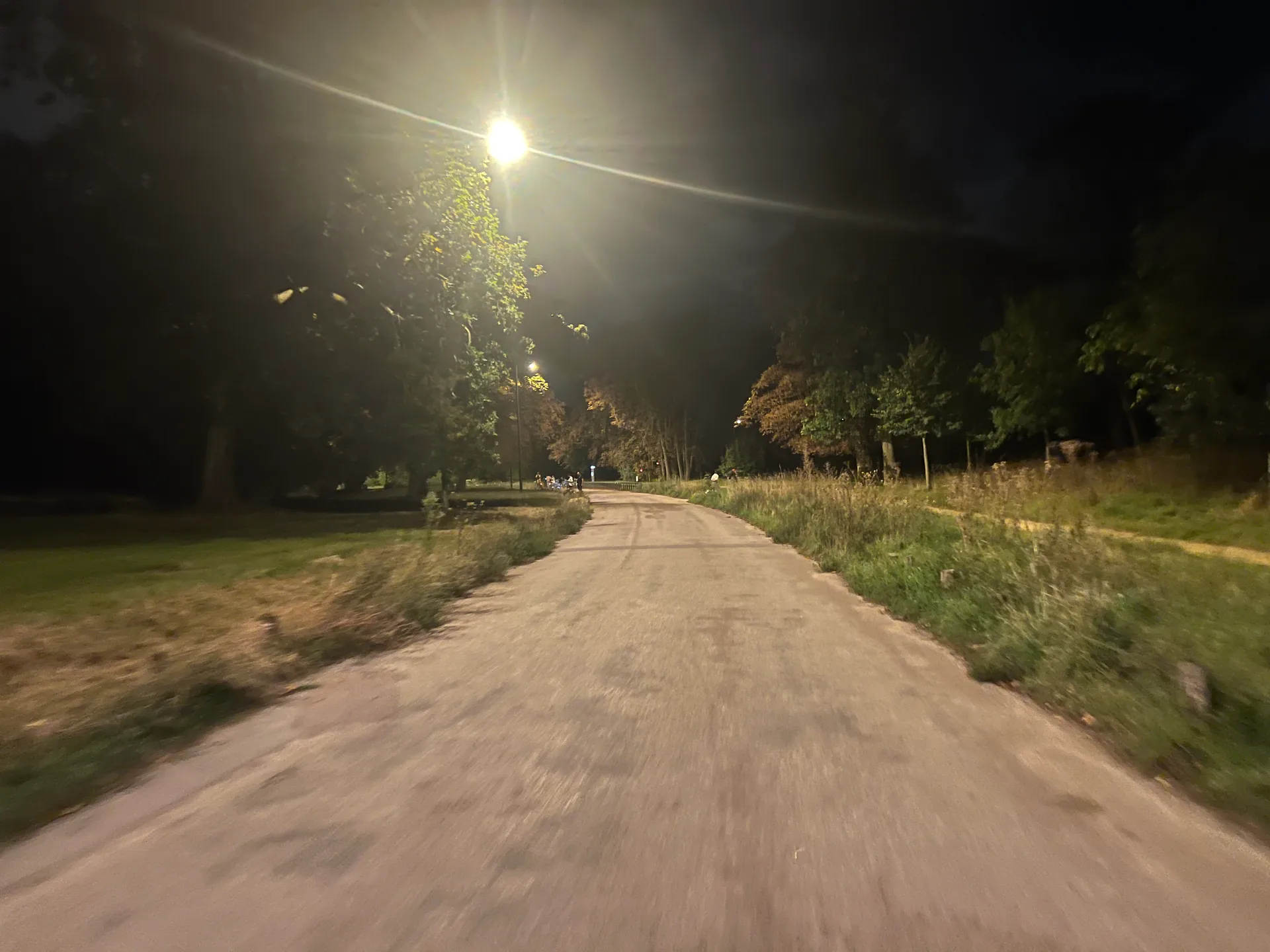 Lac Daumesnil à Paris — Sur le lac