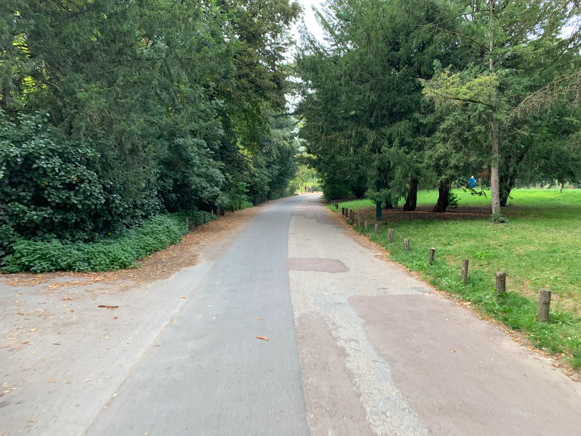 Lac Daumesnil à Paris — Sur le lac
