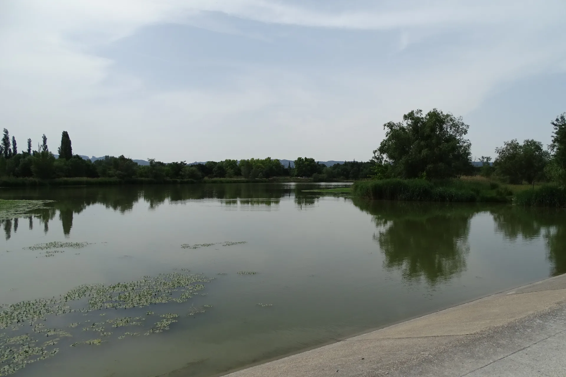 Lac de Barreau à Saint-Rémy-de-Provence — Sur le lac