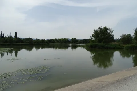 Lac de Barreau
