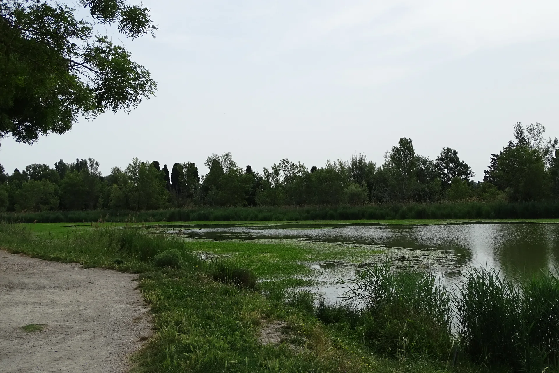Lac de Barreau à Saint-Rémy-de-Provence — Sur le lac