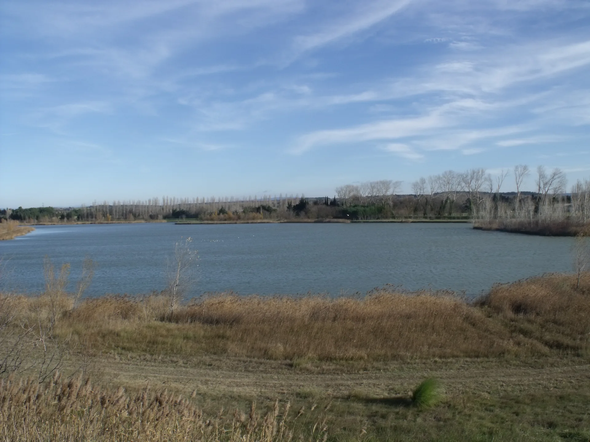 Lac de Barreau à Saint-Rémy-de-Provence — Sur le lac