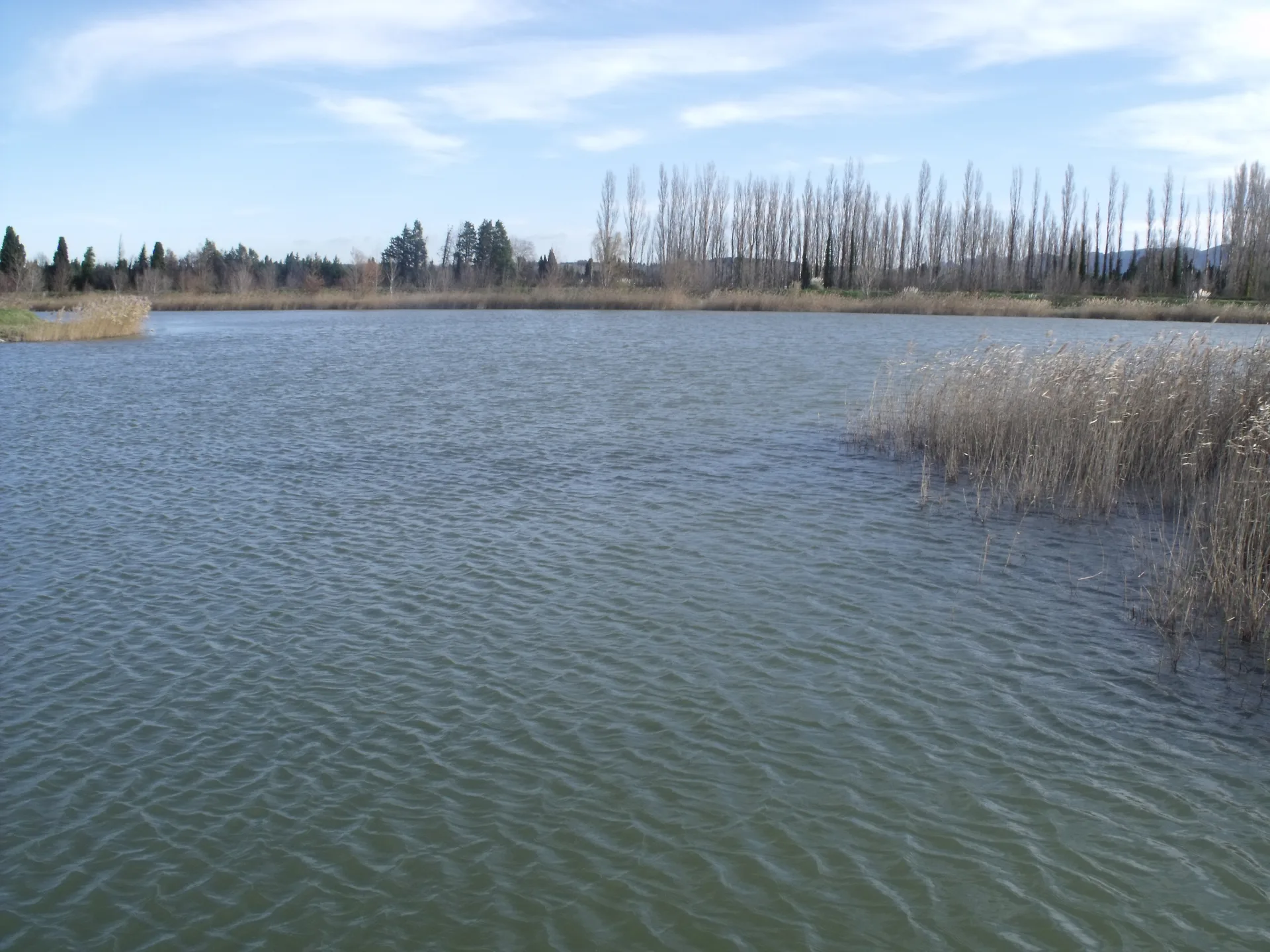Lac de Barreau à Saint-Rémy-de-Provence — Sur le lac