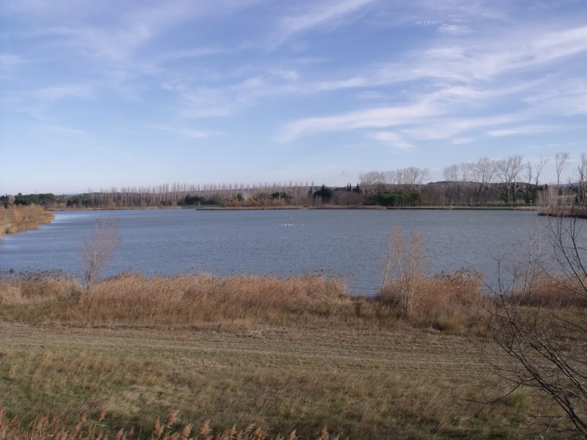 Lac de Barreau à Saint-Rémy-de-Provence — Sur le lac