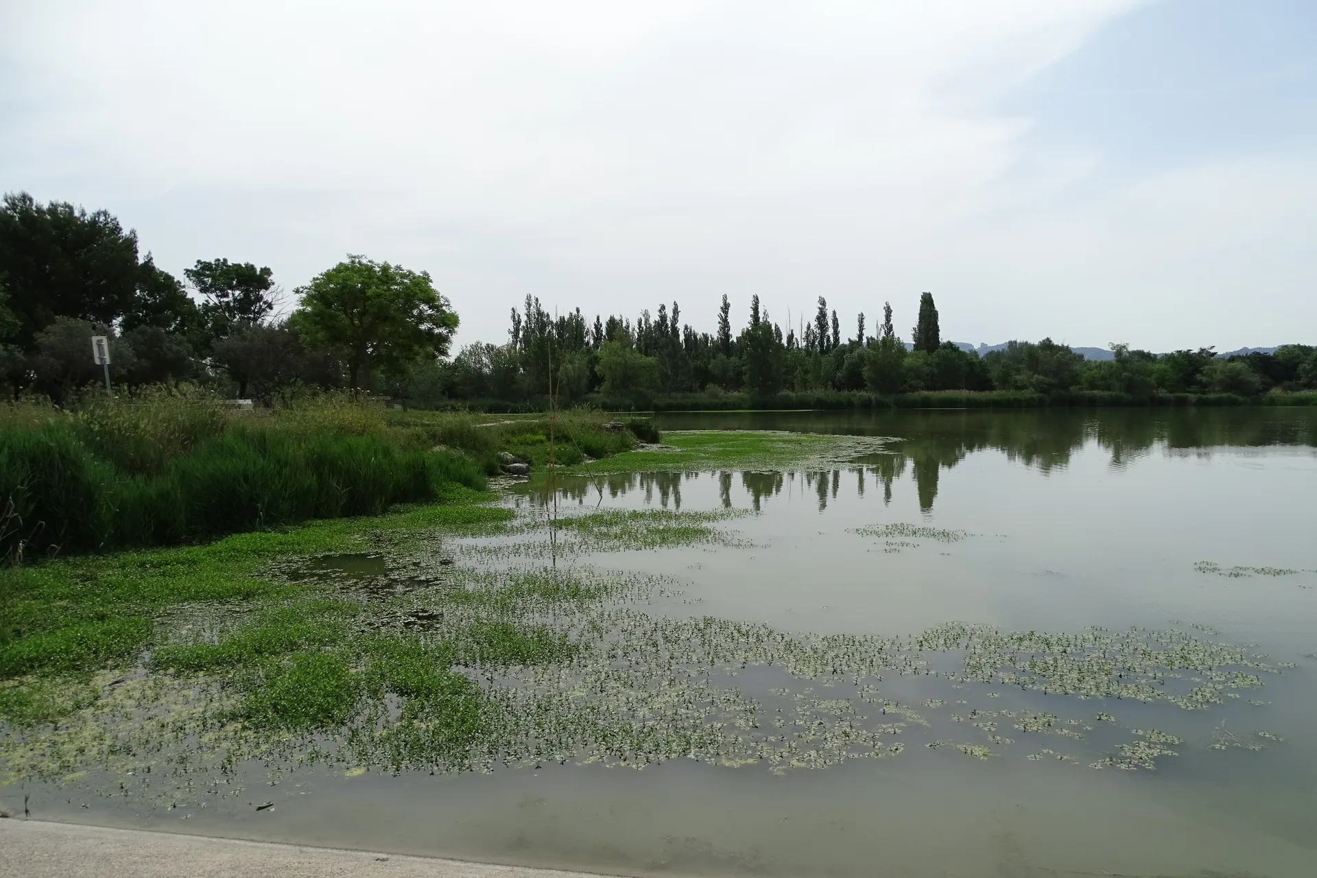 Lac de Barreau à Saint-Rémy-de-Provence — Sur le lac