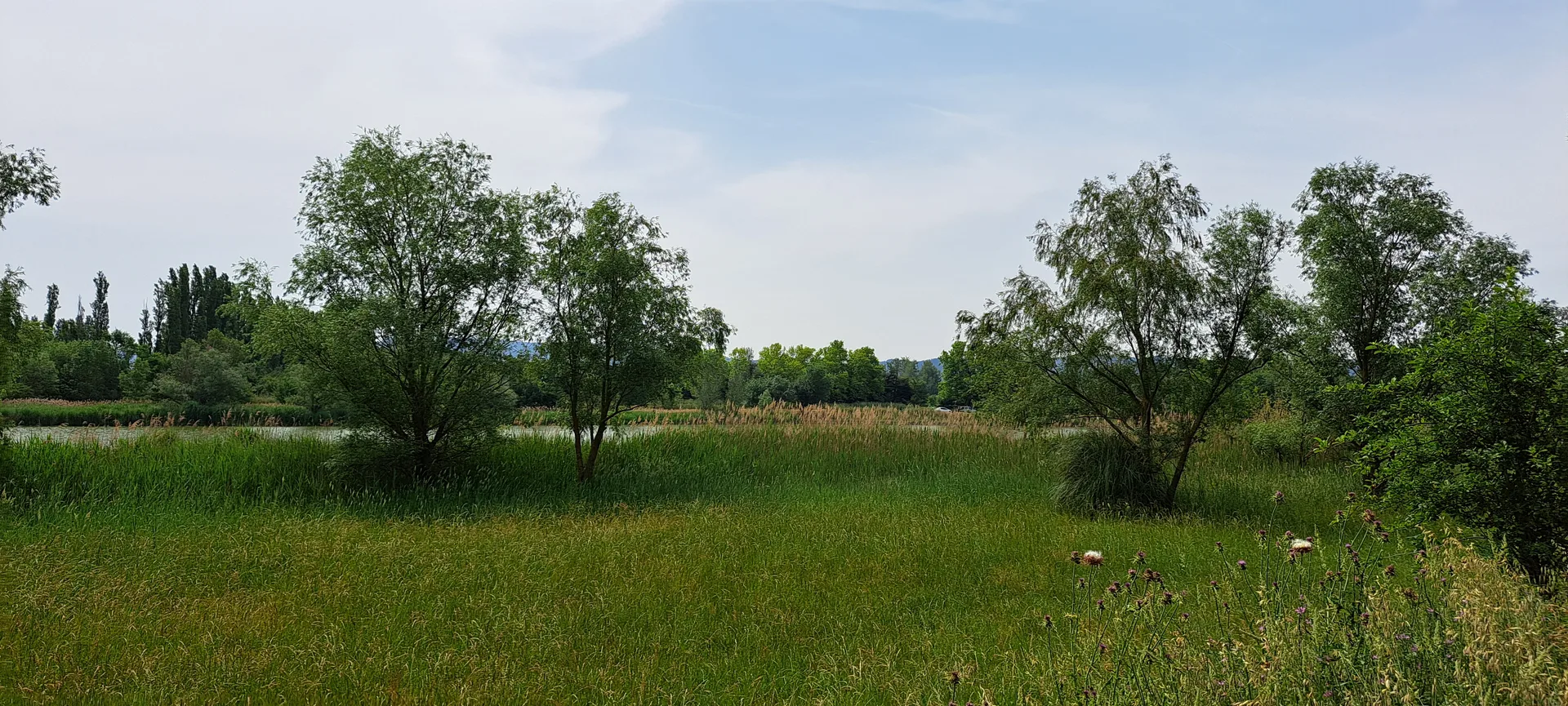 Lac de Barreau à Saint-Rémy-de-Provence — Sur le lac