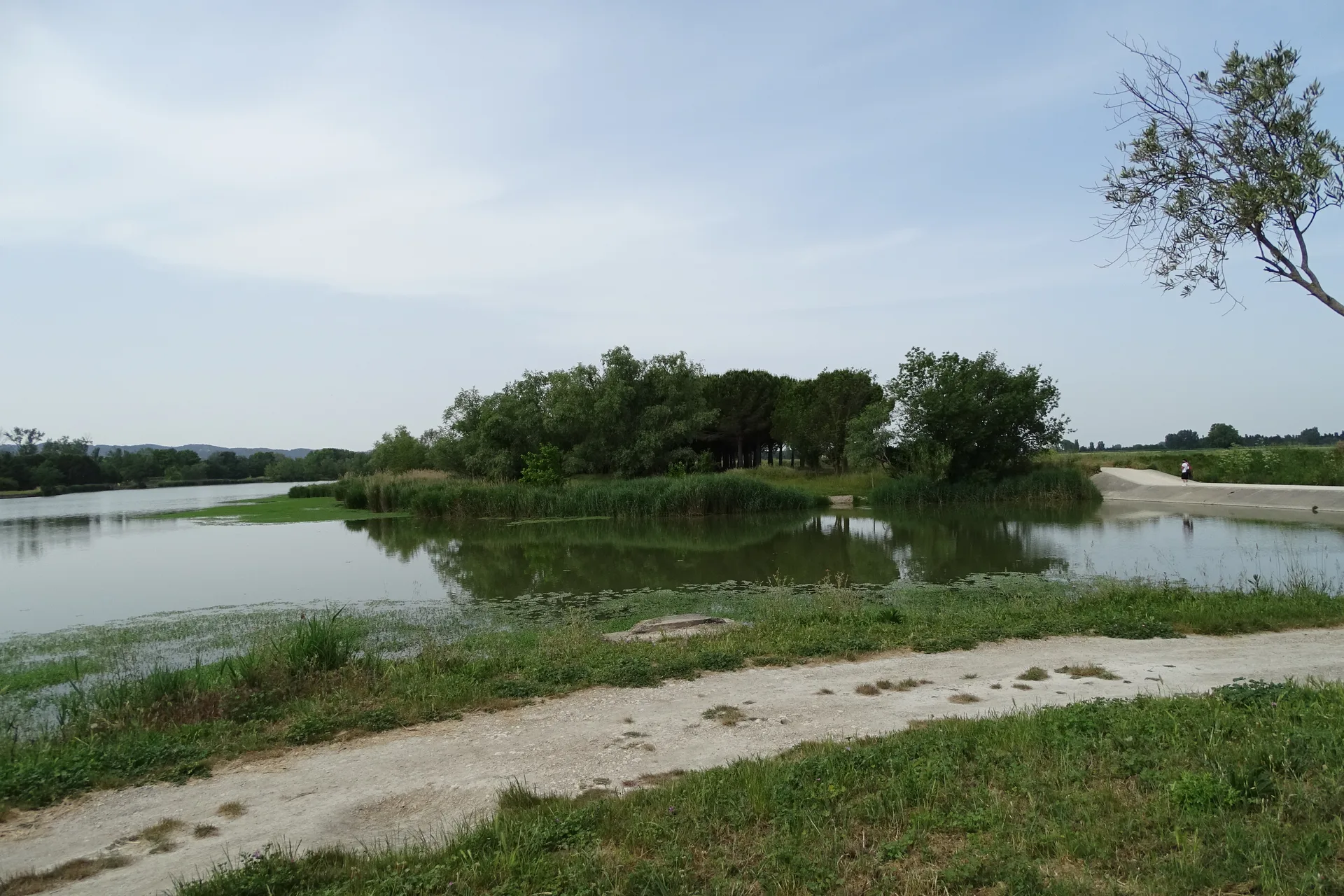 Lac de Barreau à Saint-Rémy-de-Provence — Sur le lac