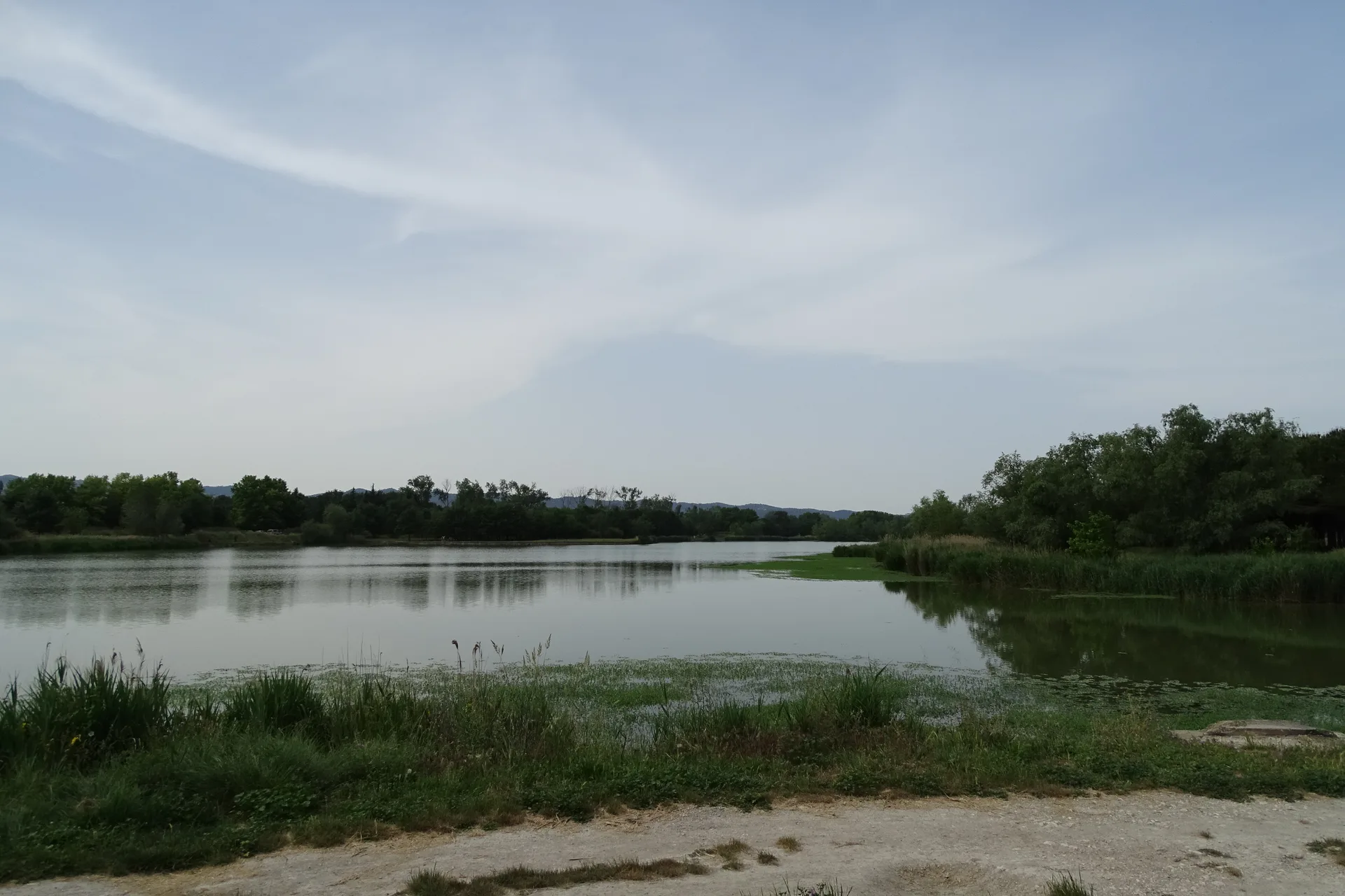 Lac de Barreau à Saint-Rémy-de-Provence — Sur le lac