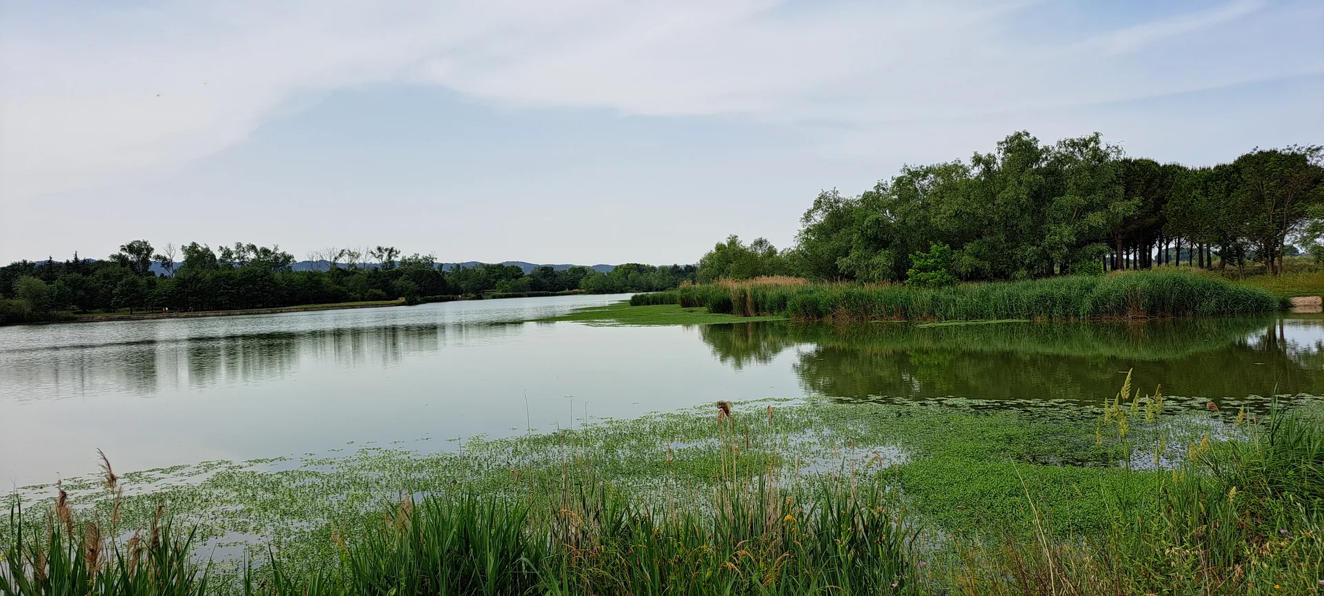 Lac de Barreau à Saint-Rémy-de-Provence — Sur le lac