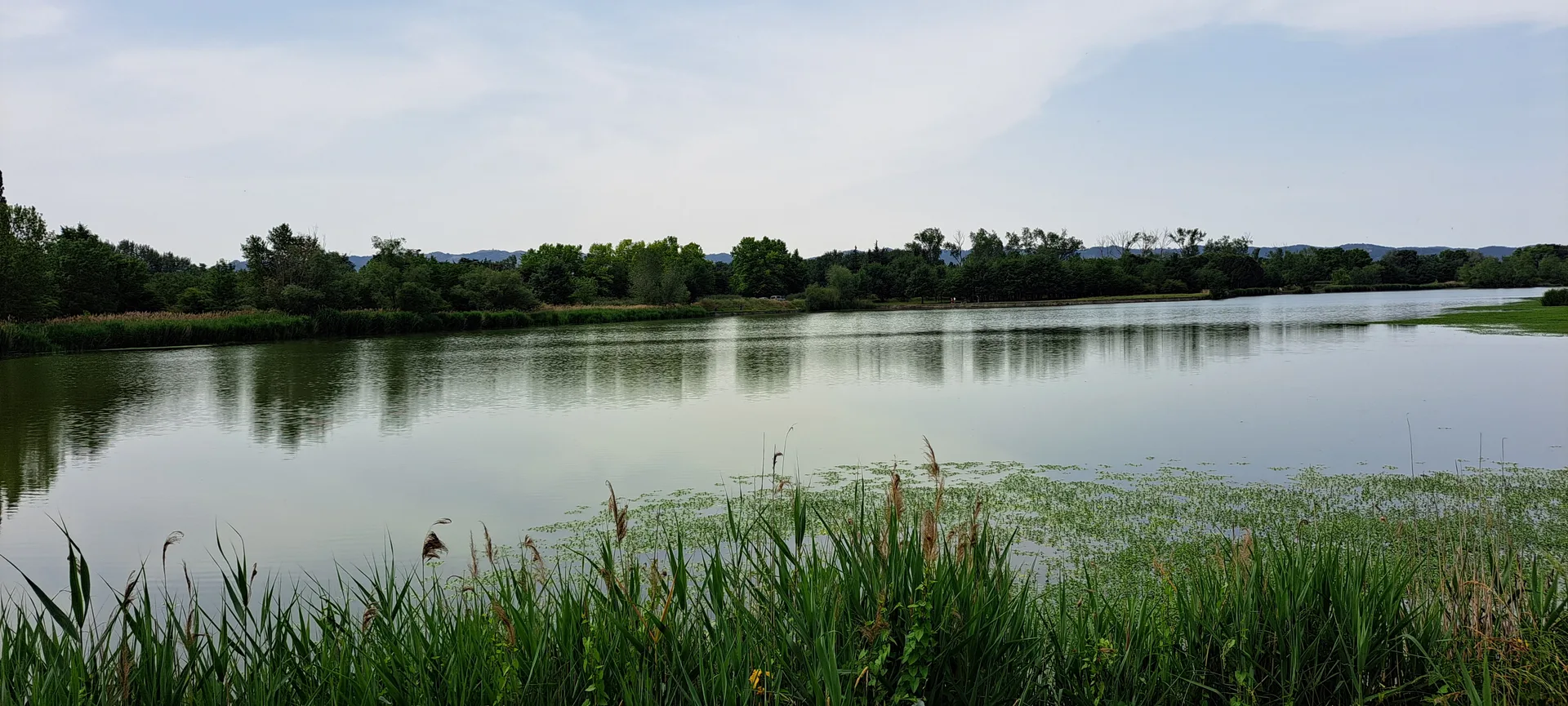 Lac de Barreau à Saint-Rémy-de-Provence — Sur le lac