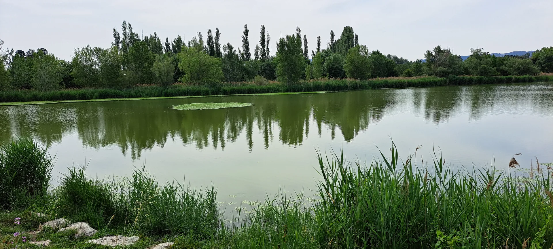 Lac de Barreau à Saint-Rémy-de-Provence — Sur le lac