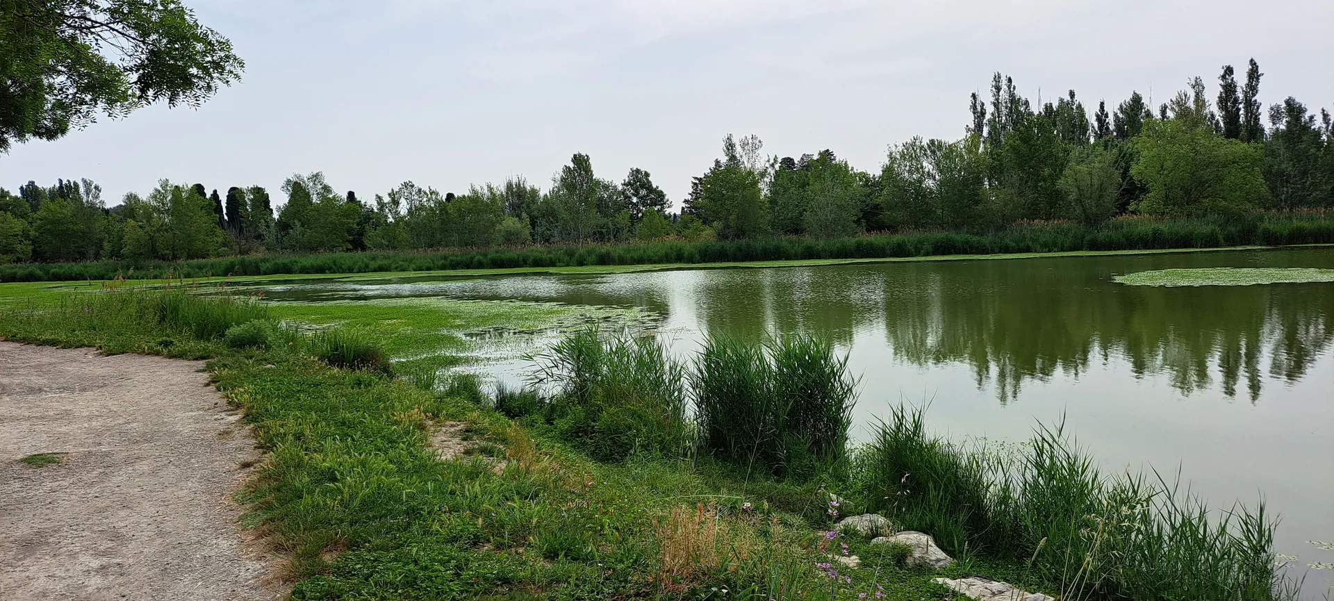 Lac de Barreau à Saint-Rémy-de-Provence — Sur le lac