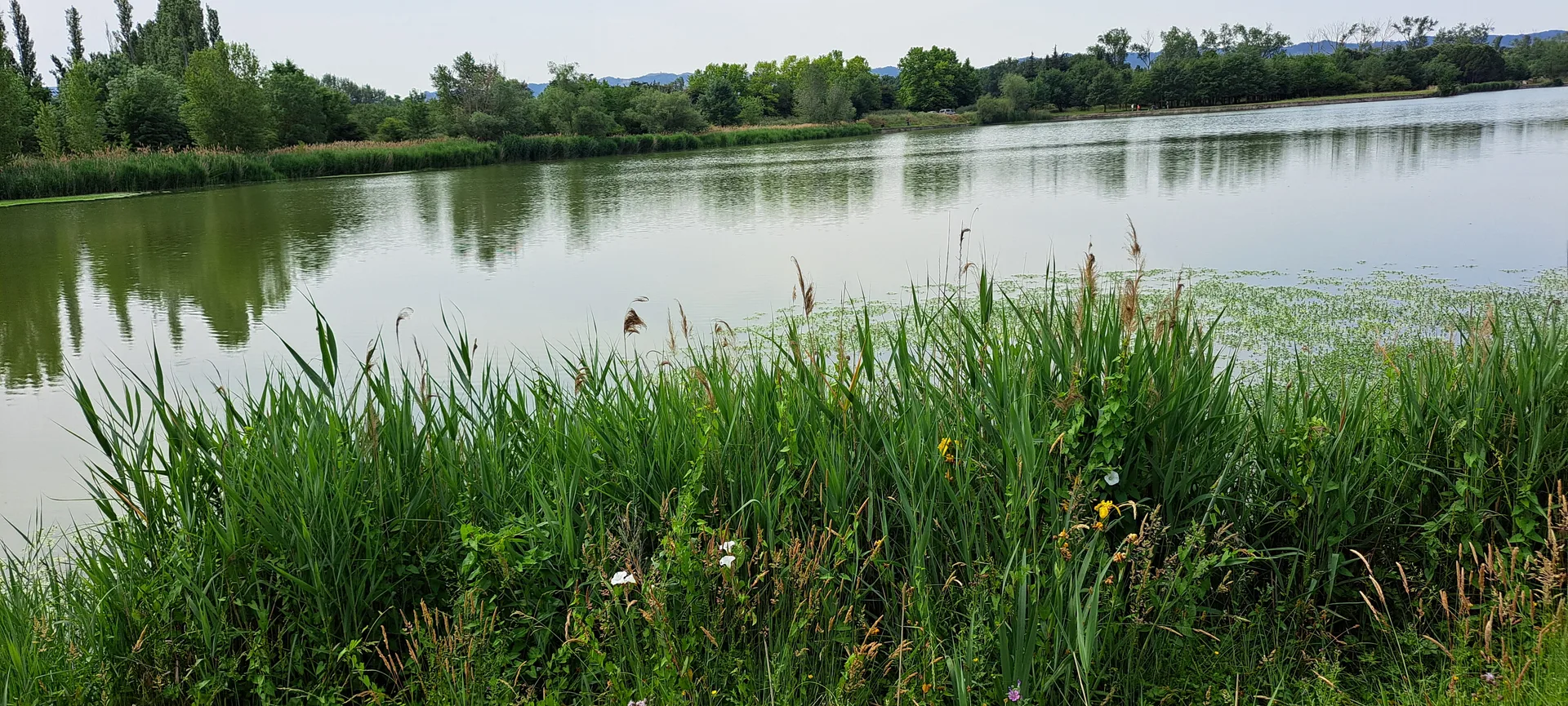 Lac de Barreau à Saint-Rémy-de-Provence — Sur le lac