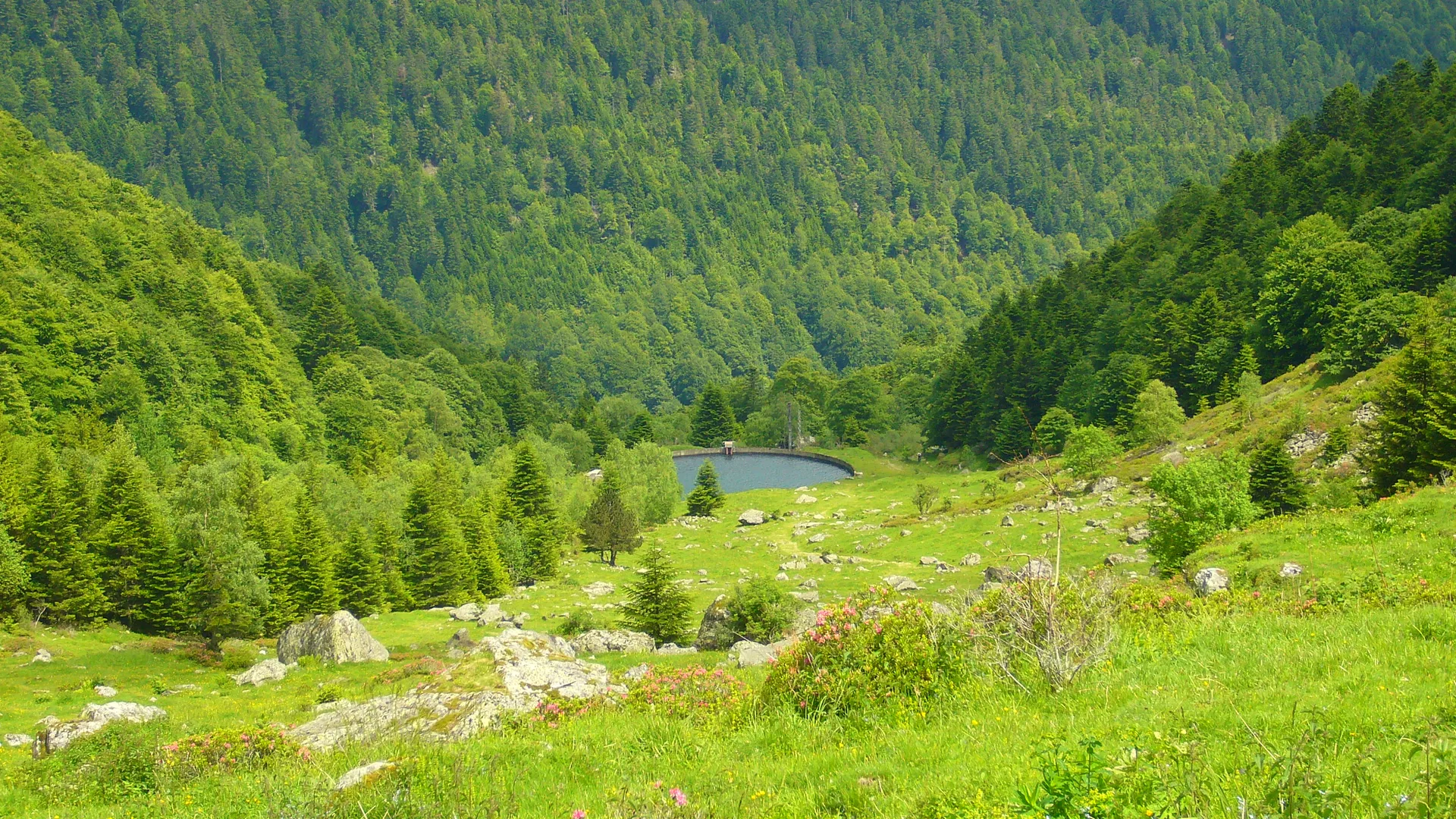 Lac de Bassias à Beaucens — À 3,5 km du lac