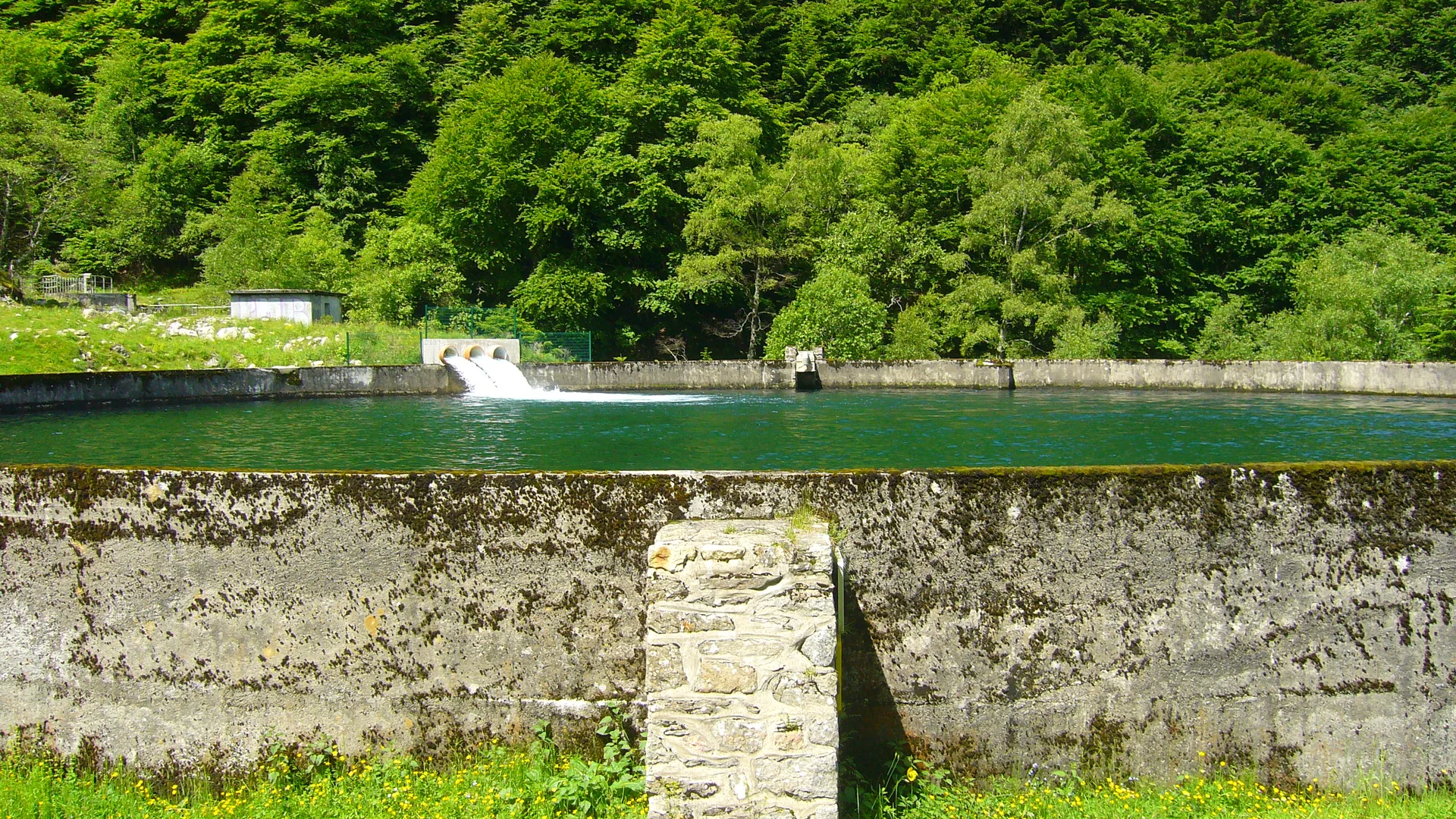 Lac de Bassias à Beaucens — À 3,9 km du lac