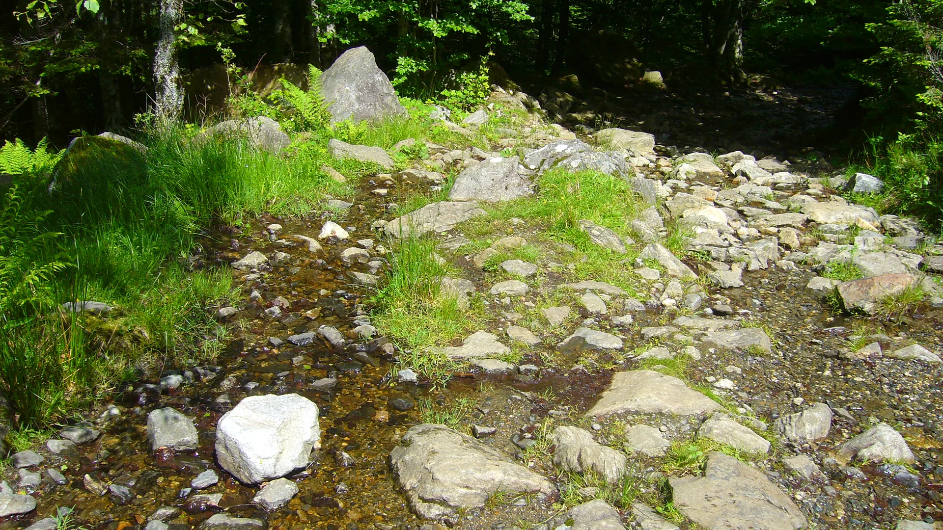 Lac de Bassias à Beaucens — À 4,0 km du lac