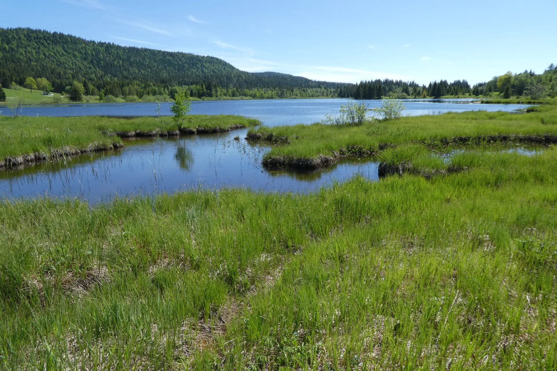 Lac de Bellefontaine à Bellefontaine — À 425 m du lac