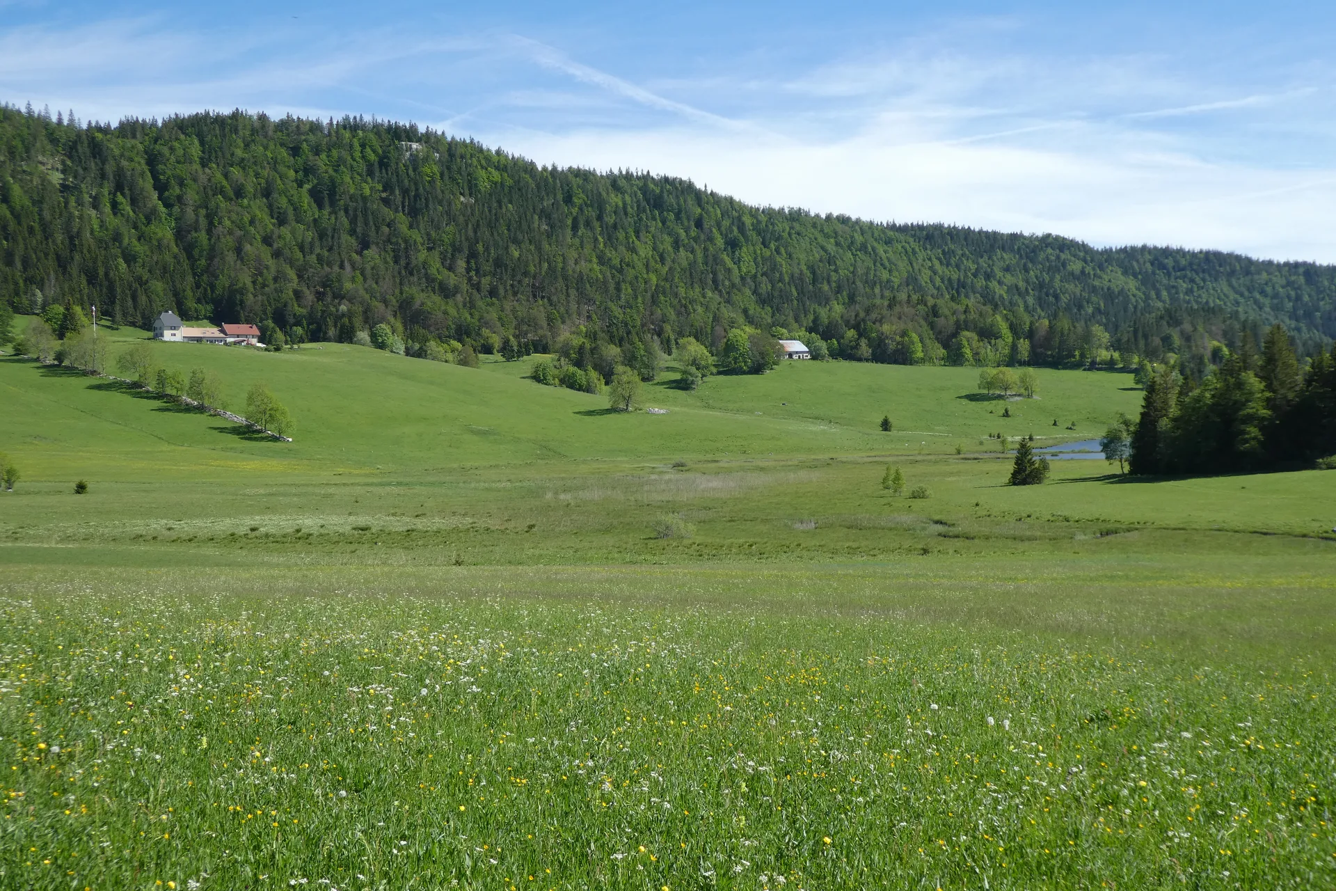 Lac de Bellefontaine à Bellefontaine — À 1,4 km du lac