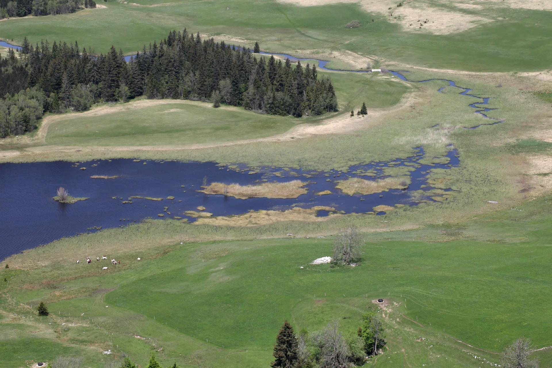 Lac de Bellefontaine à Bellefontaine — À 941 m du lac