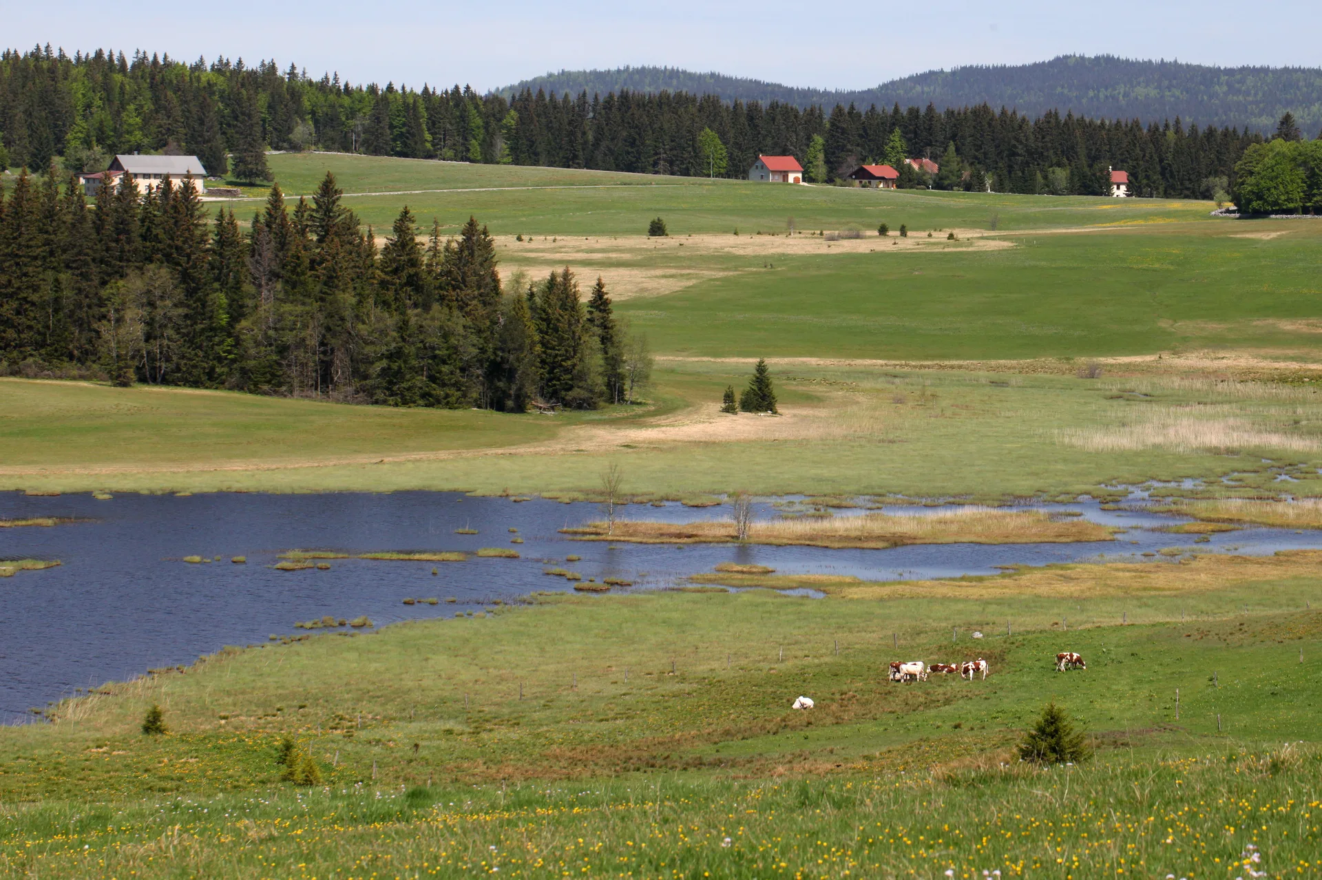 Lac de Bellefontaine à Bellefontaine — À 952 m du lac