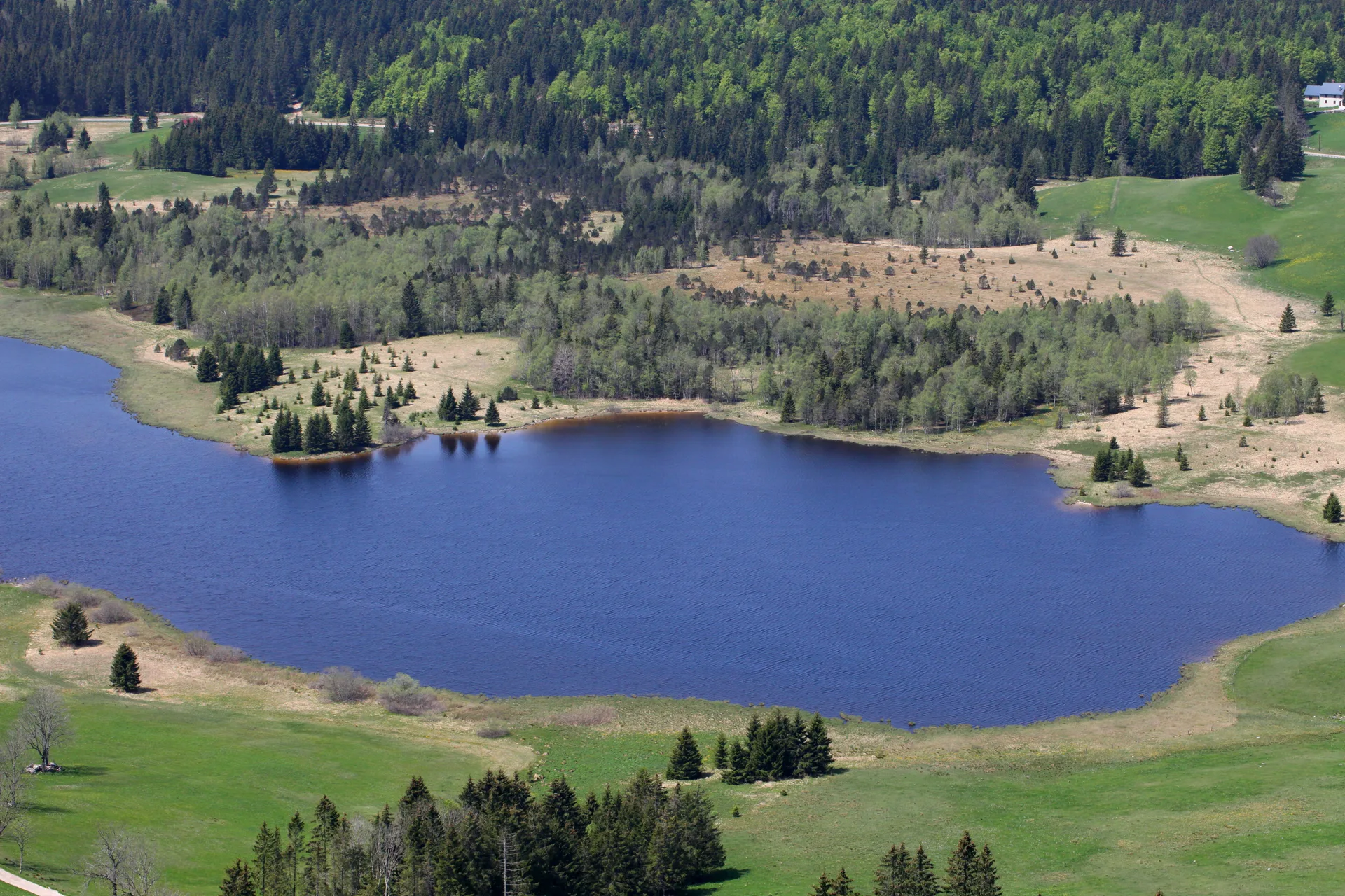 Lac de Bellefontaine à Bellefontaine — À 952 m du lac