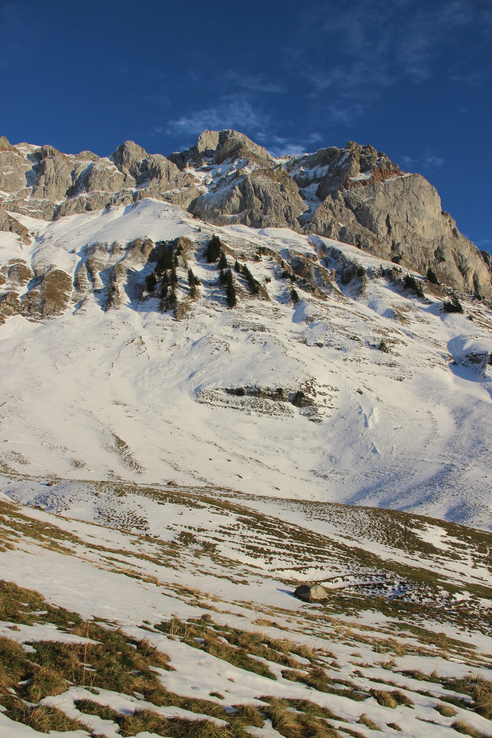 Lac de Bise à La Chapelle-d'Abondance — À 620 m du lac