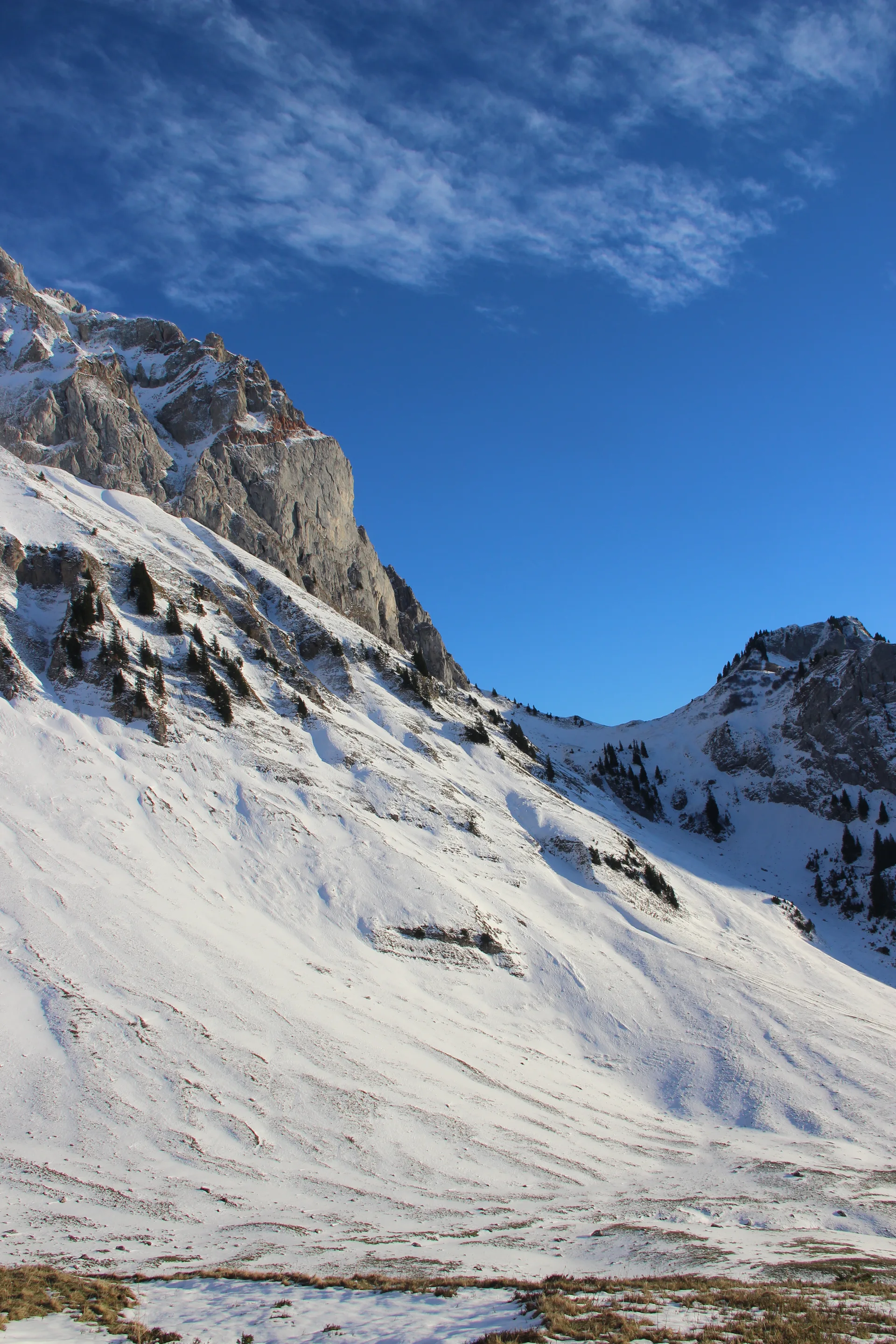 Lac de Bise à La Chapelle-d'Abondance — À 987 m du lac