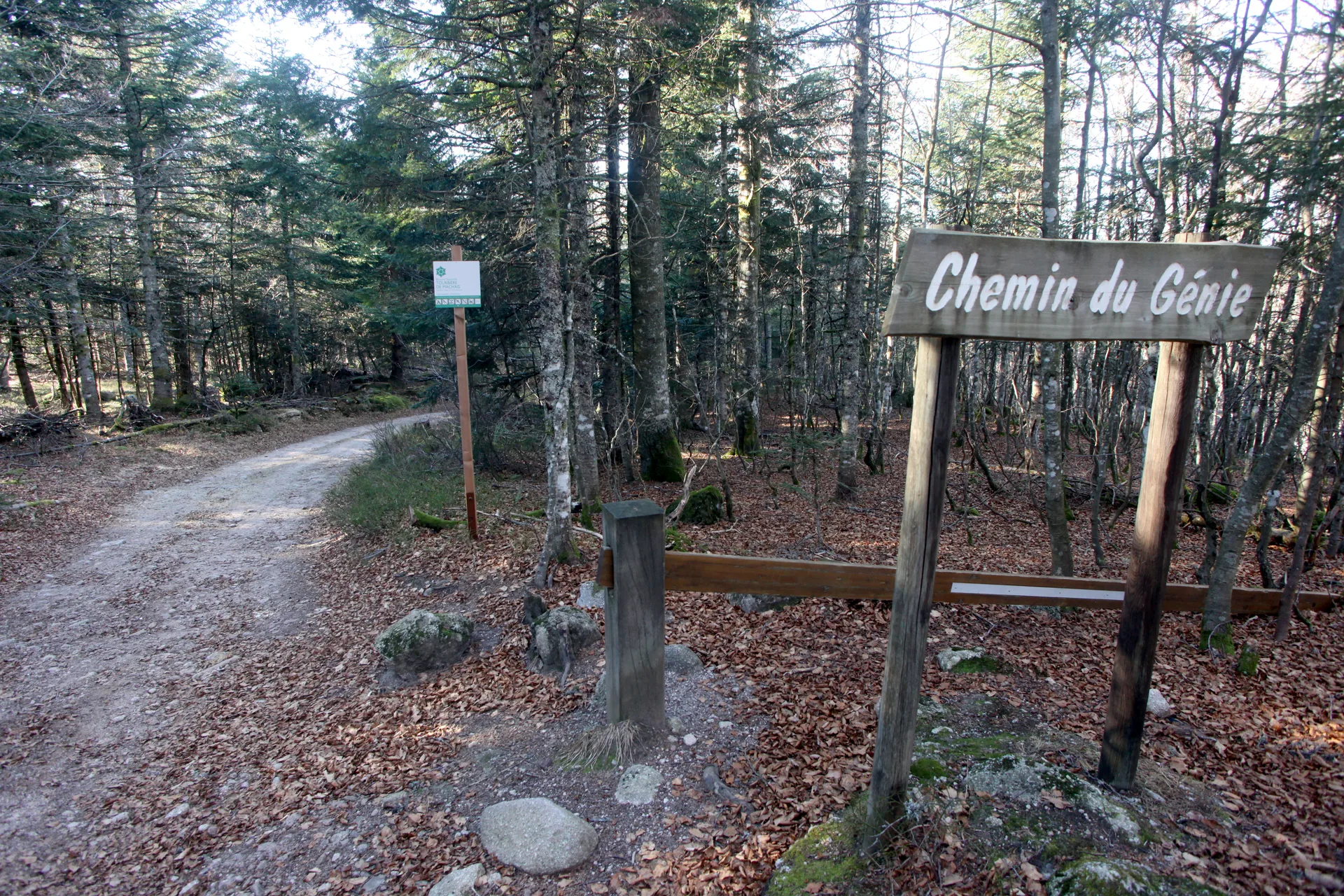 Lac de Blanchemer à La Bresse — À 781 m du lac