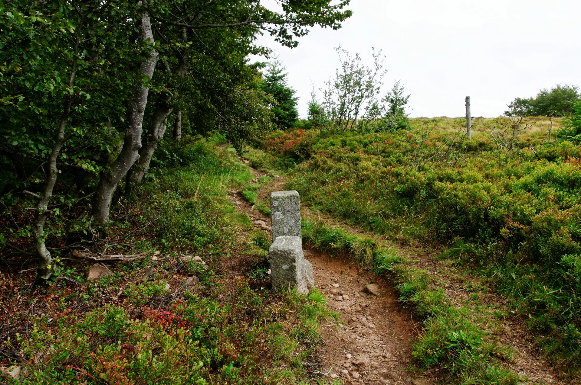 Lac de Blanchemer à La Bresse — À 1,0 km du lac