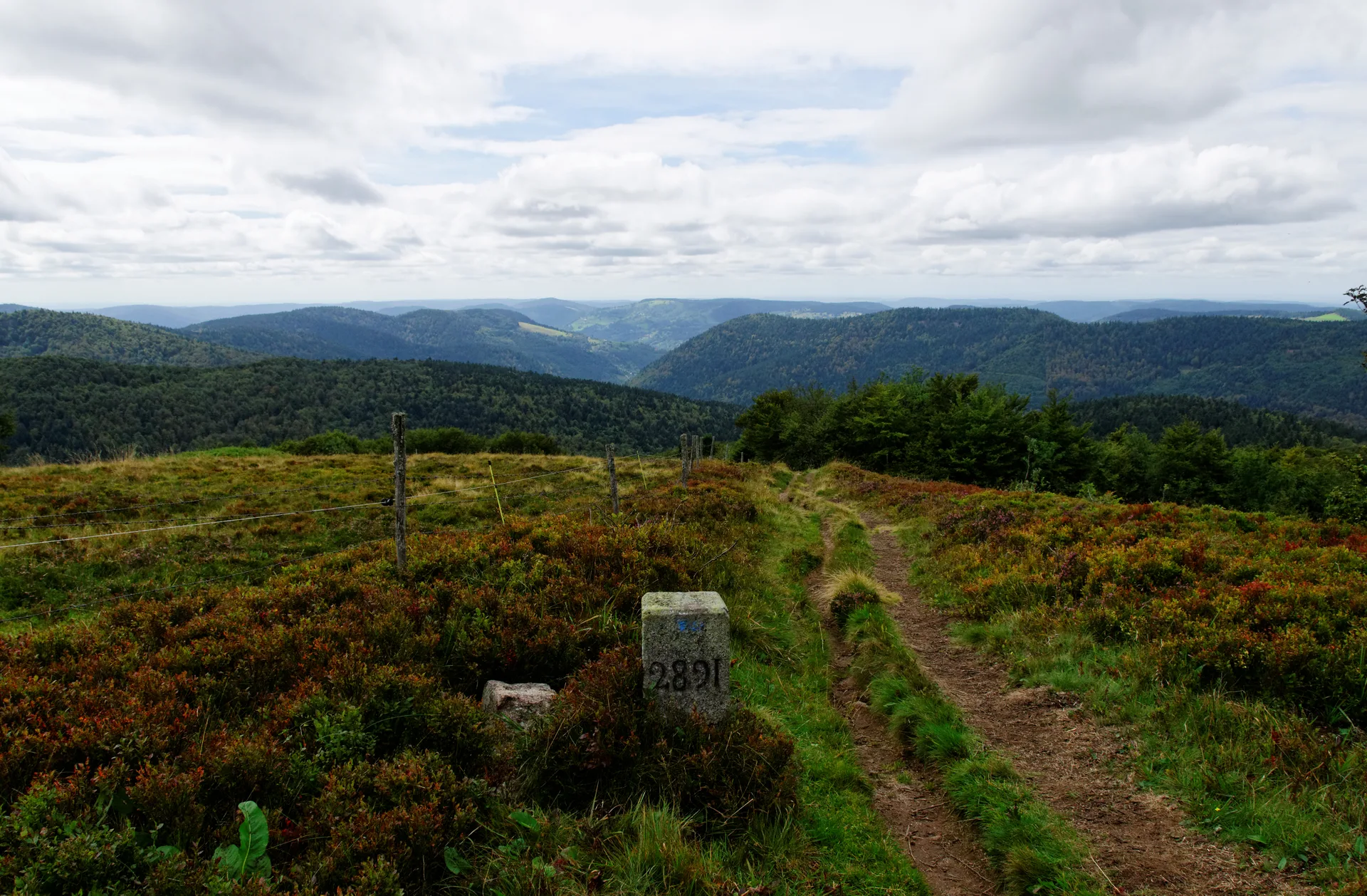Lac de Blanchemer à La Bresse — À 1,1 km du lac