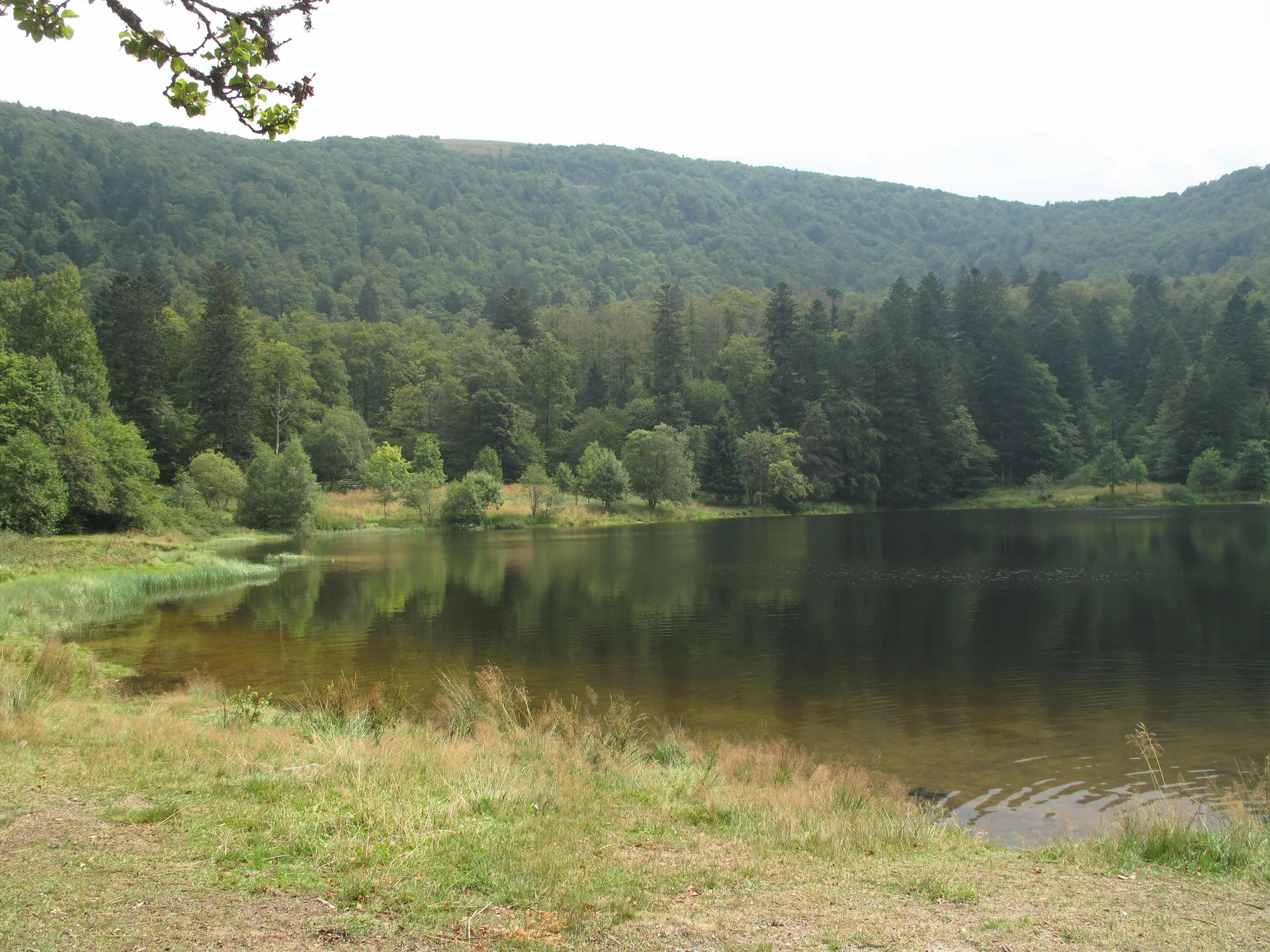 Lac de Blanchemer à La Bresse — À 202 m du lac