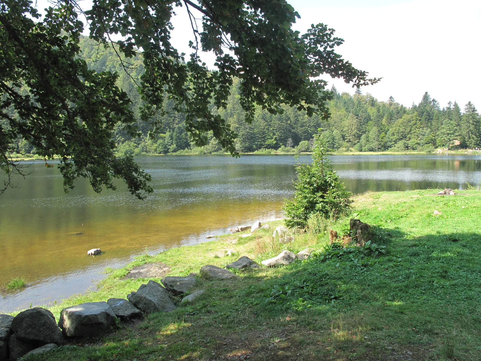 Lac de Blanchemer à La Bresse — À 218 m du lac