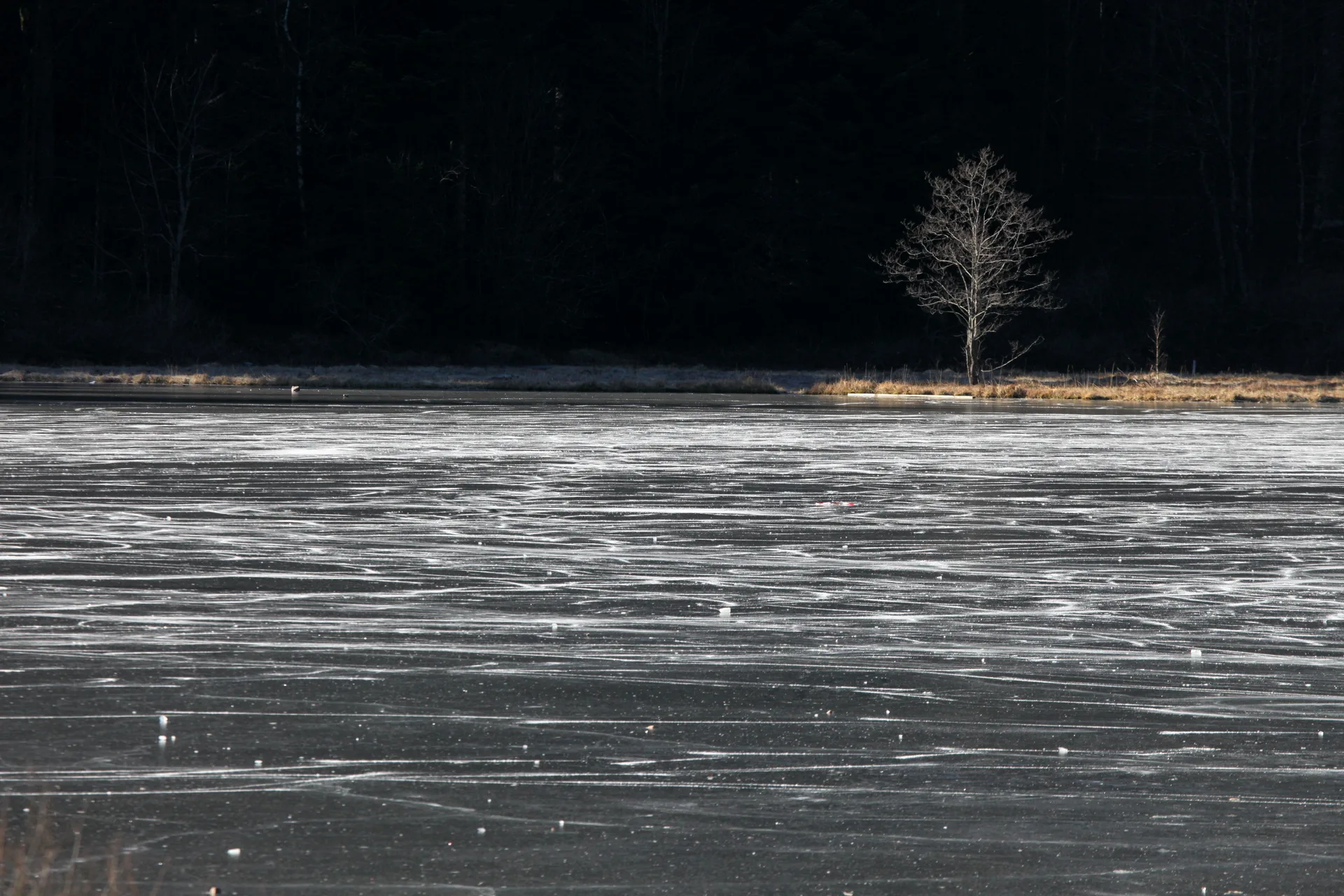 Lac de Blanchemer à La Bresse — À 272 m du lac