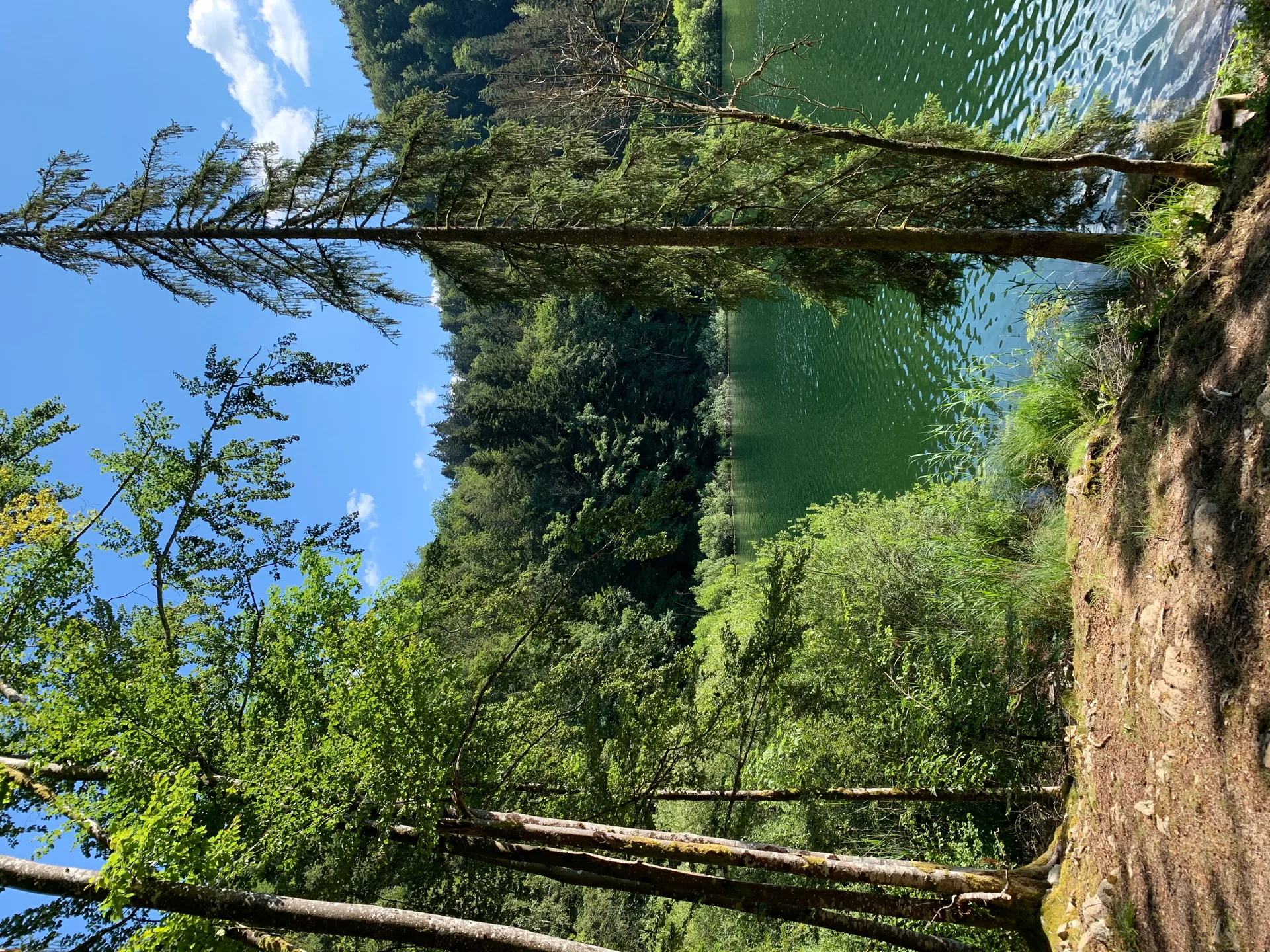 Lac de Bonlieu à Bonlieu — À 460 m du lac