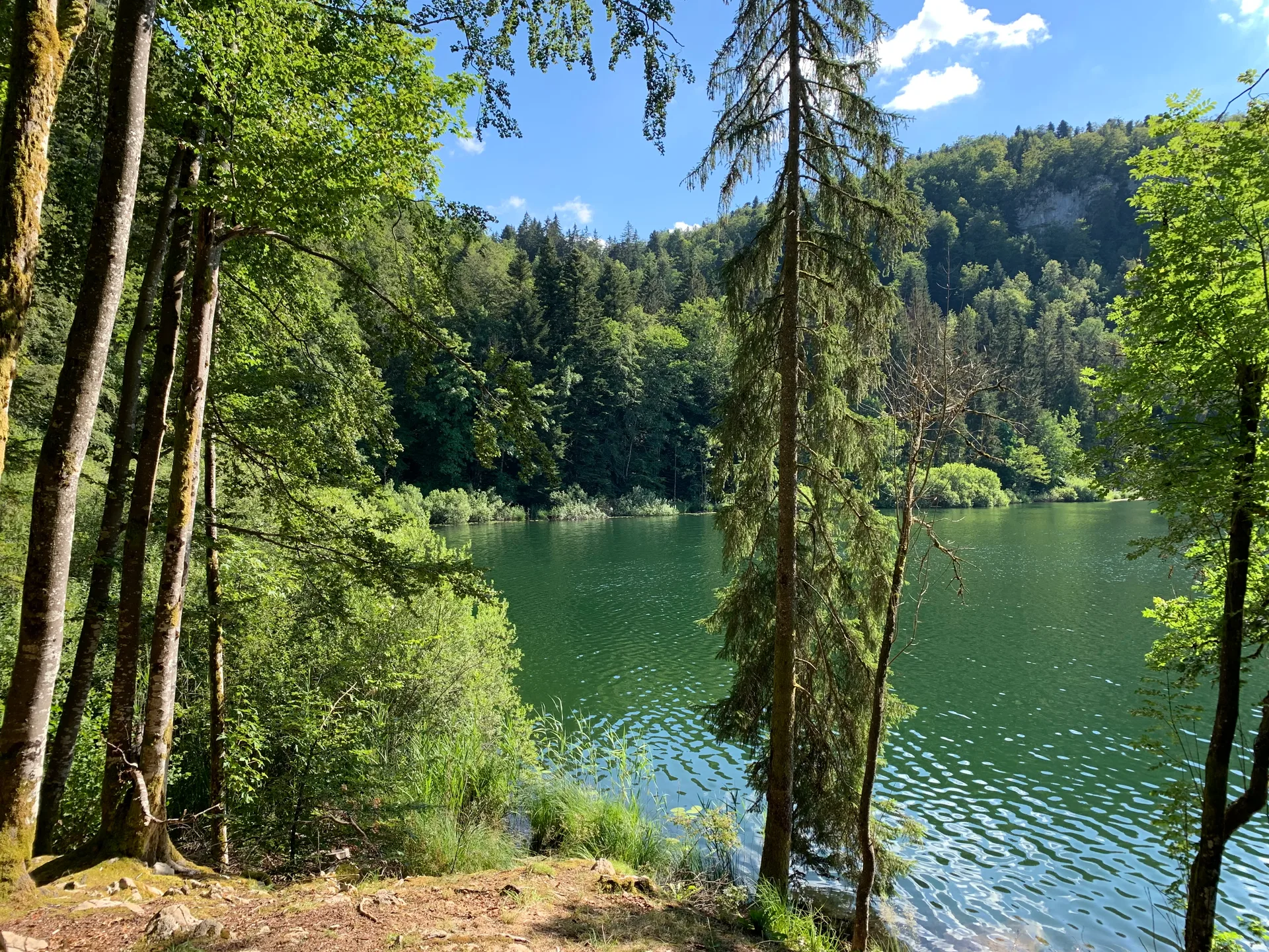 Lac de Bonlieu à Bonlieu — À 460 m du lac