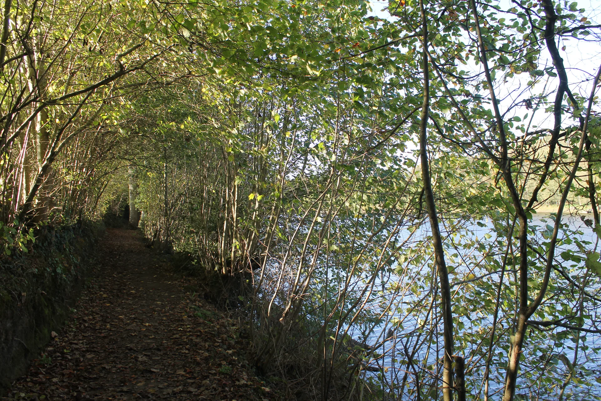 Lac de Bosmeleac à Allineuc — Sur le lac