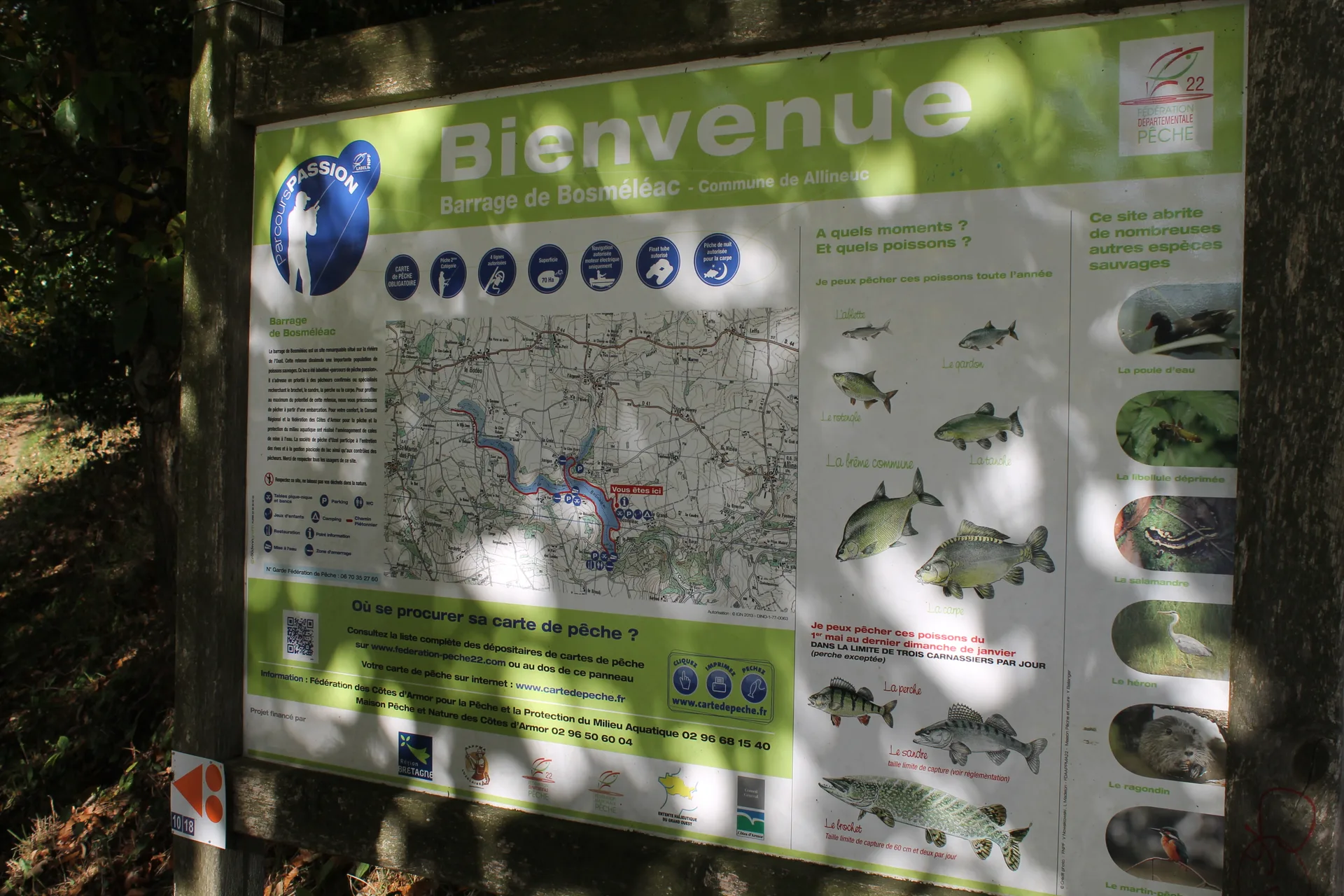 Lac de Bosmeleac à Allineuc — À 316 m du lac
