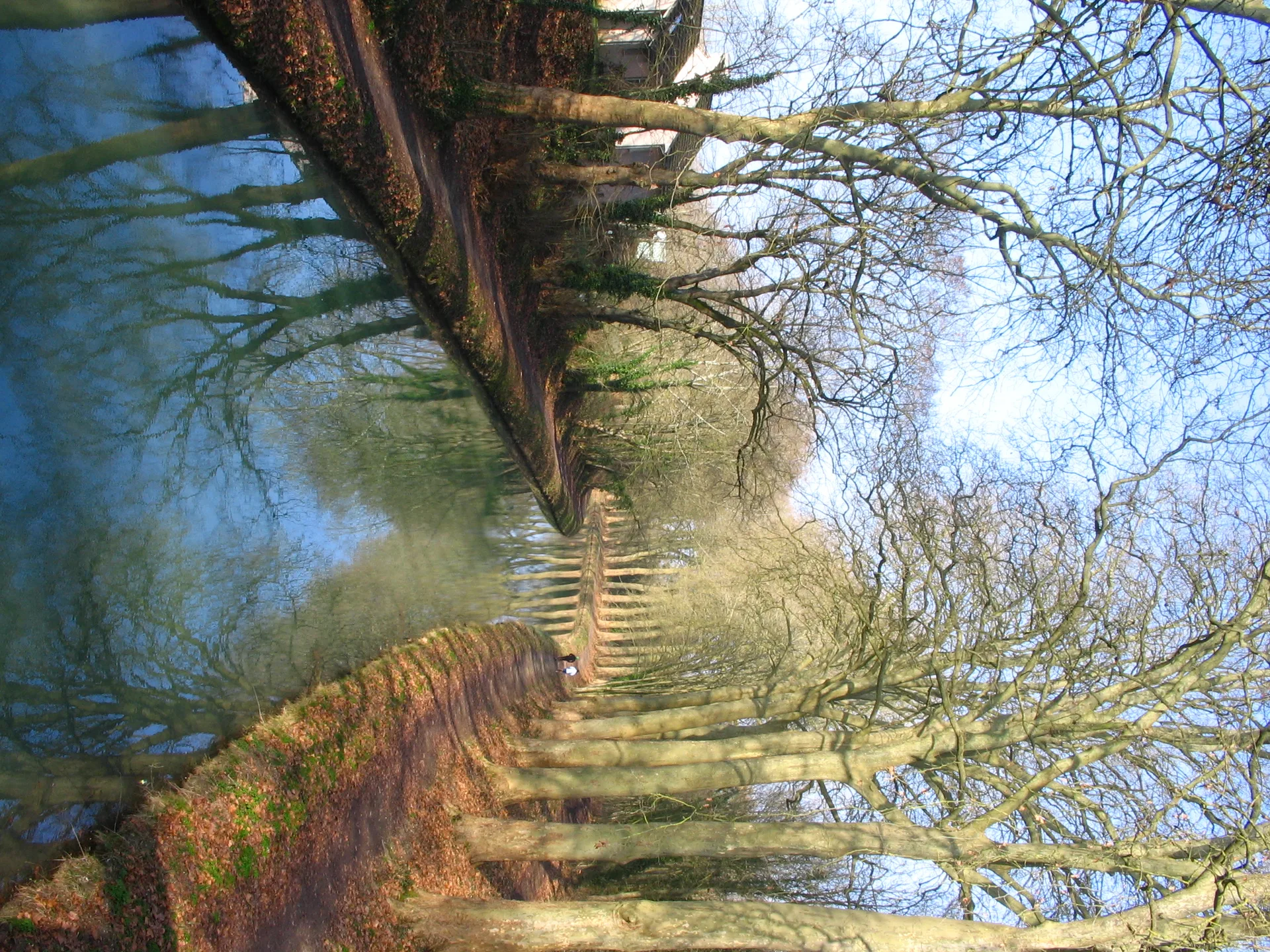 Lac de Bourges à Saint-Doulchard — À 1,9 km du lac