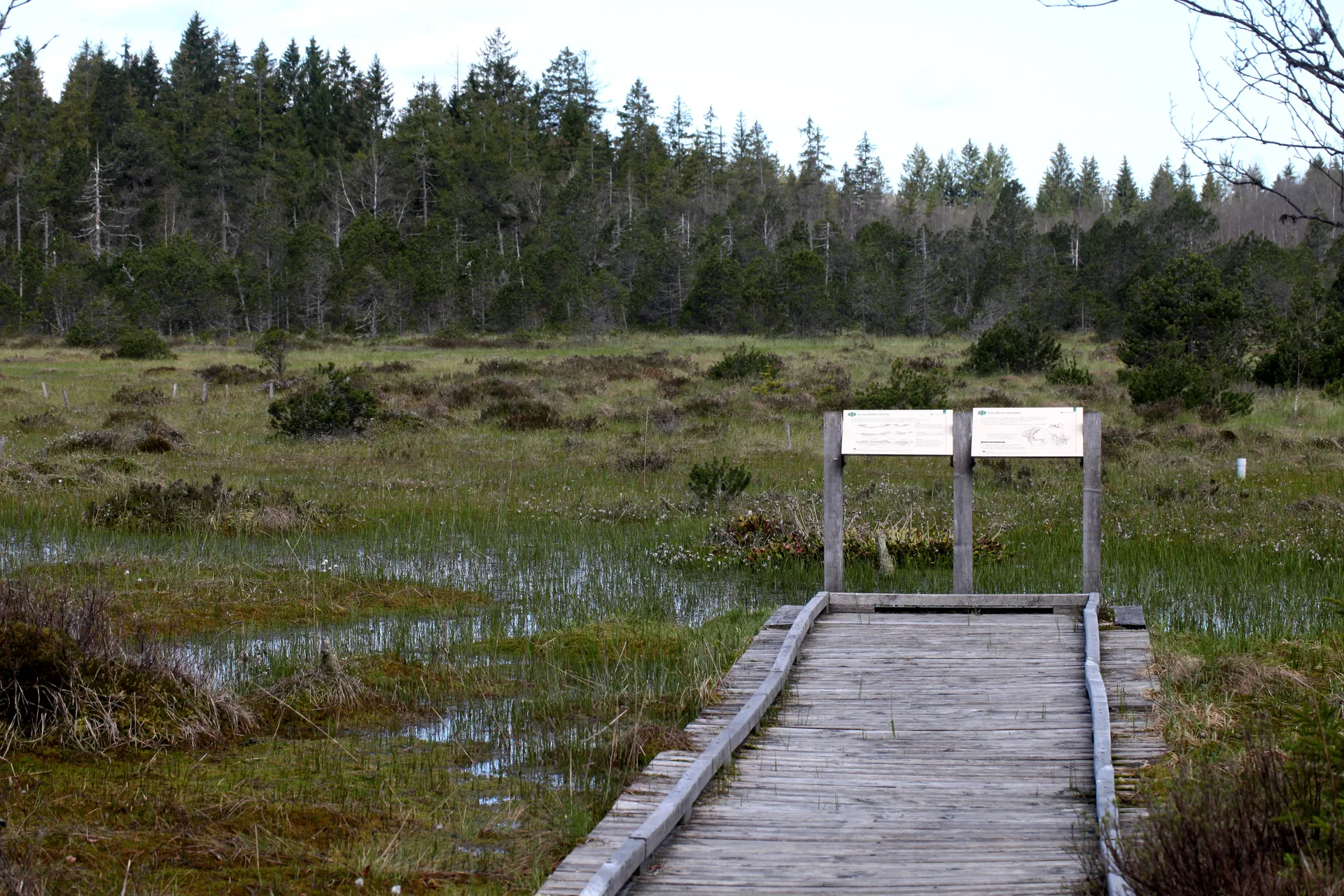 Lac de Bouverans à Bouverans — À 2,2 km du lac