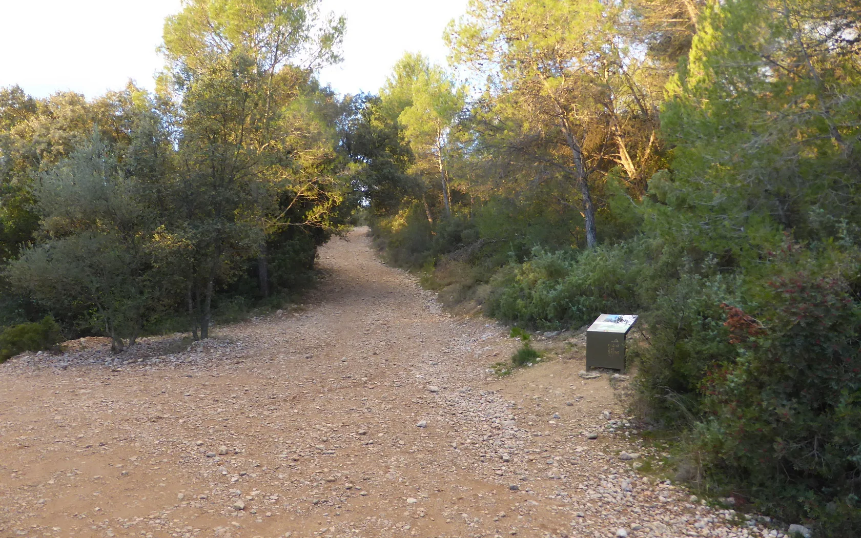 Lac de Ceceles à Saint-Mathieu-de-Tréviers — À 3,3 km du lac