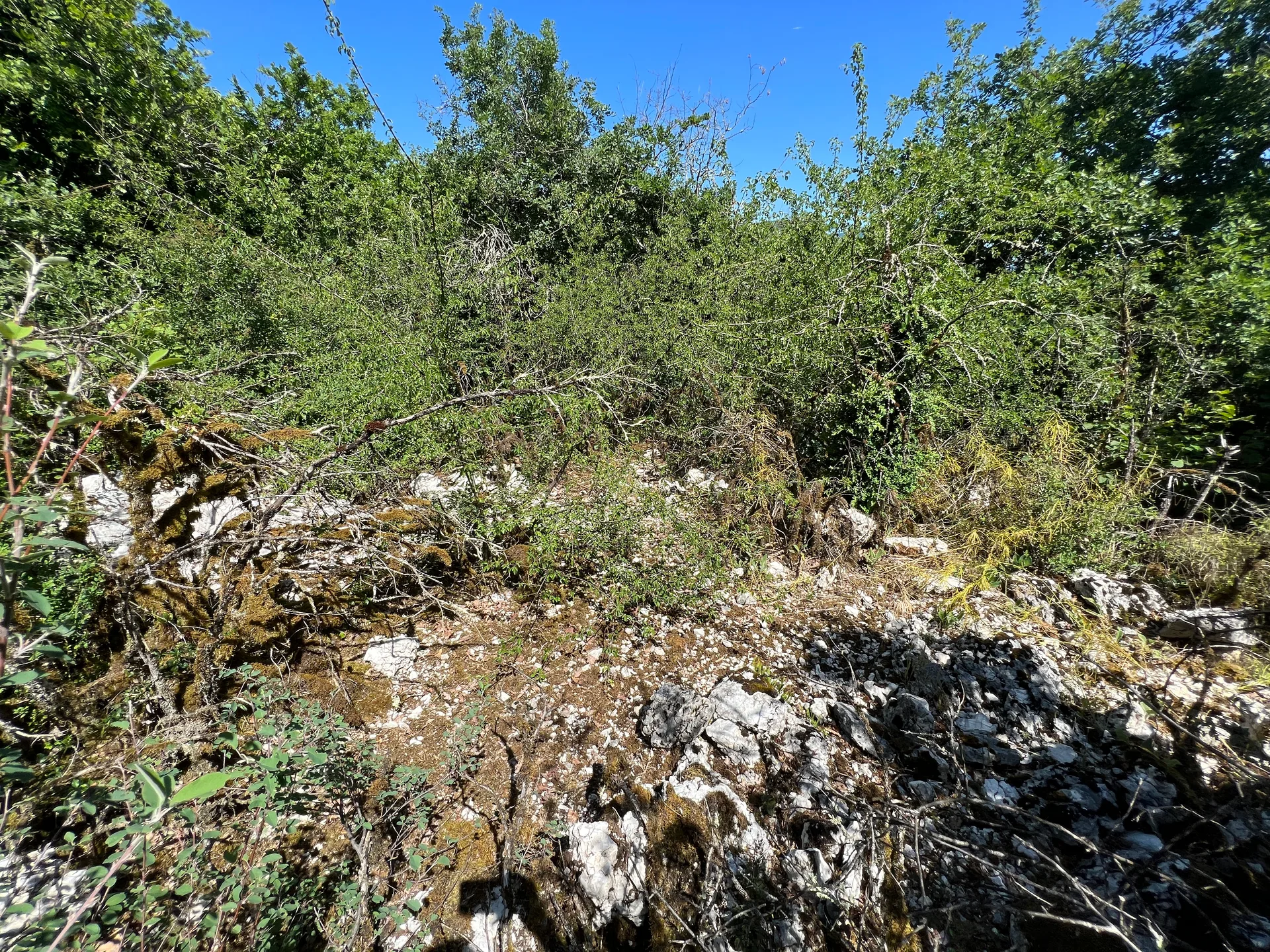 Lac de Chailloux à Contrevoz — À 611 m du lac
