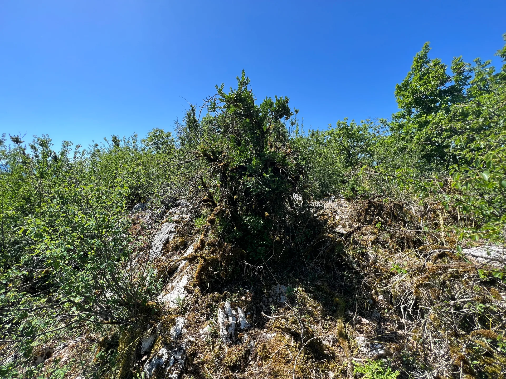 Lac de Chailloux à Contrevoz — À 623 m du lac