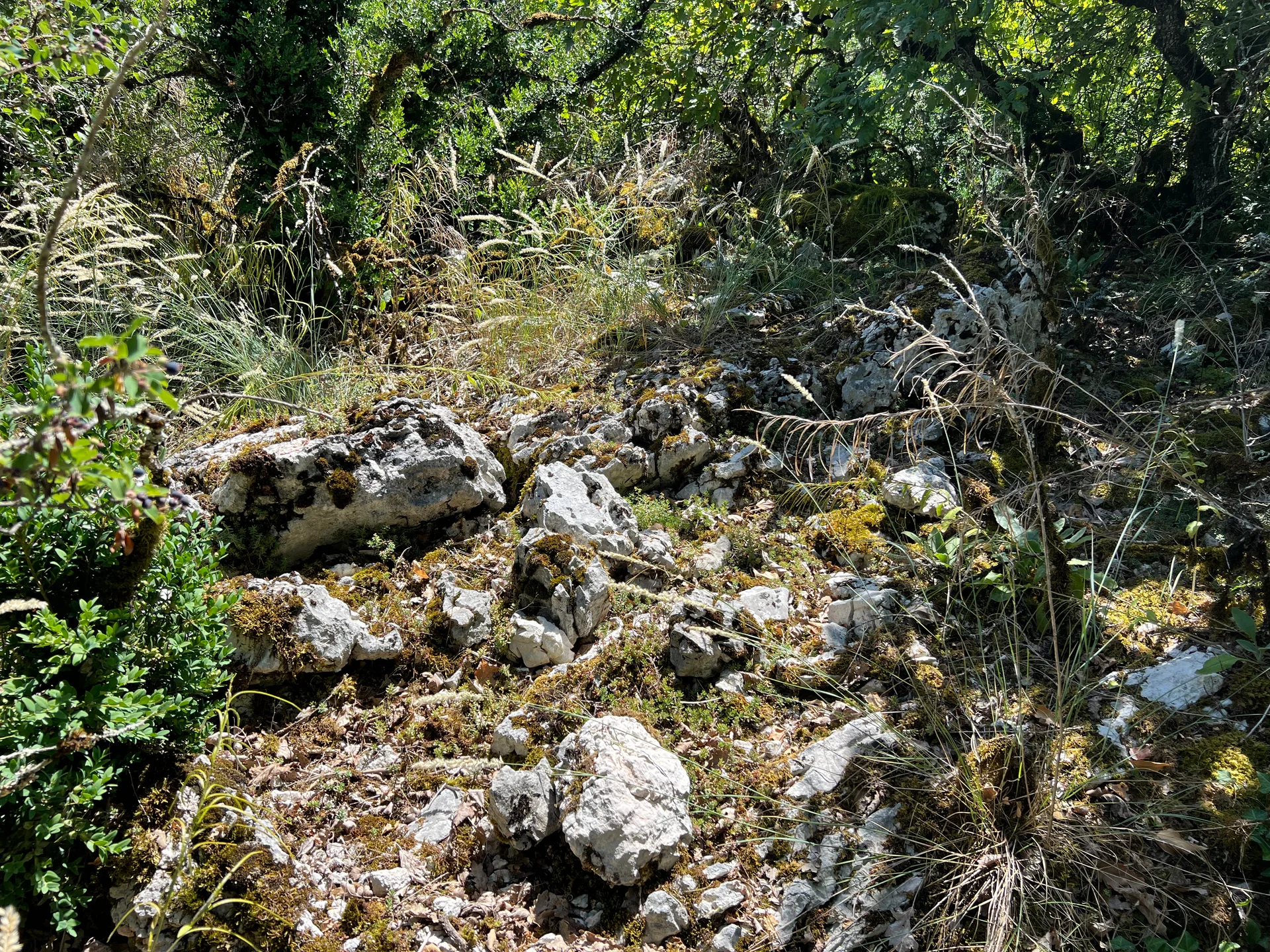 Lac de Chailloux à Contrevoz — À 550 m du lac