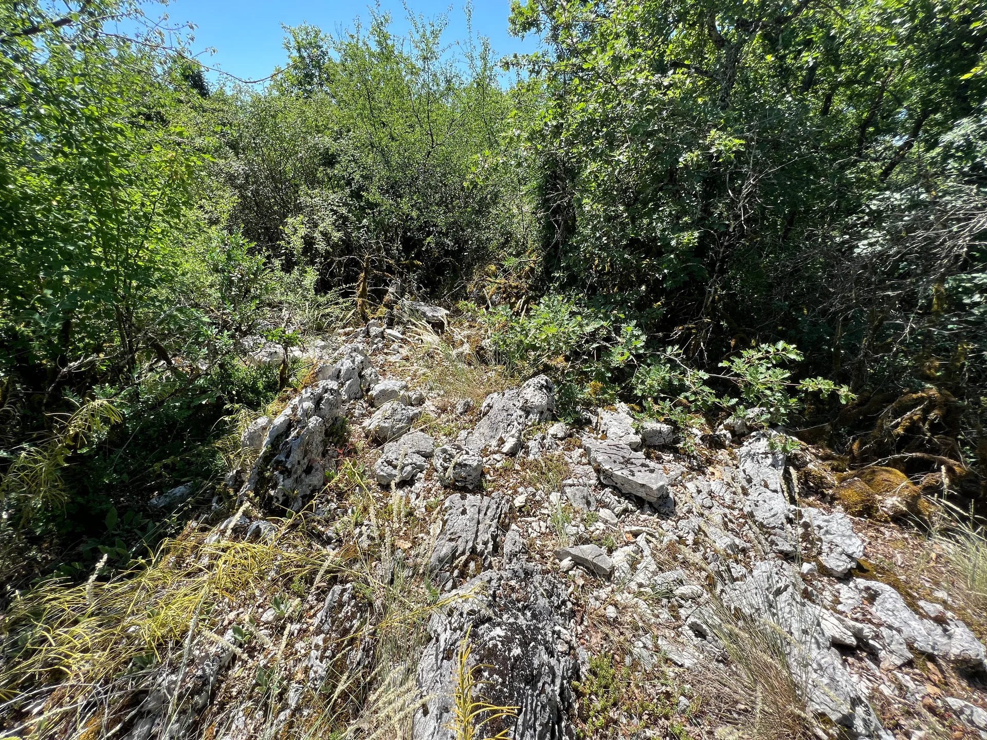 Lac de Chailloux à Contrevoz — À 568 m du lac