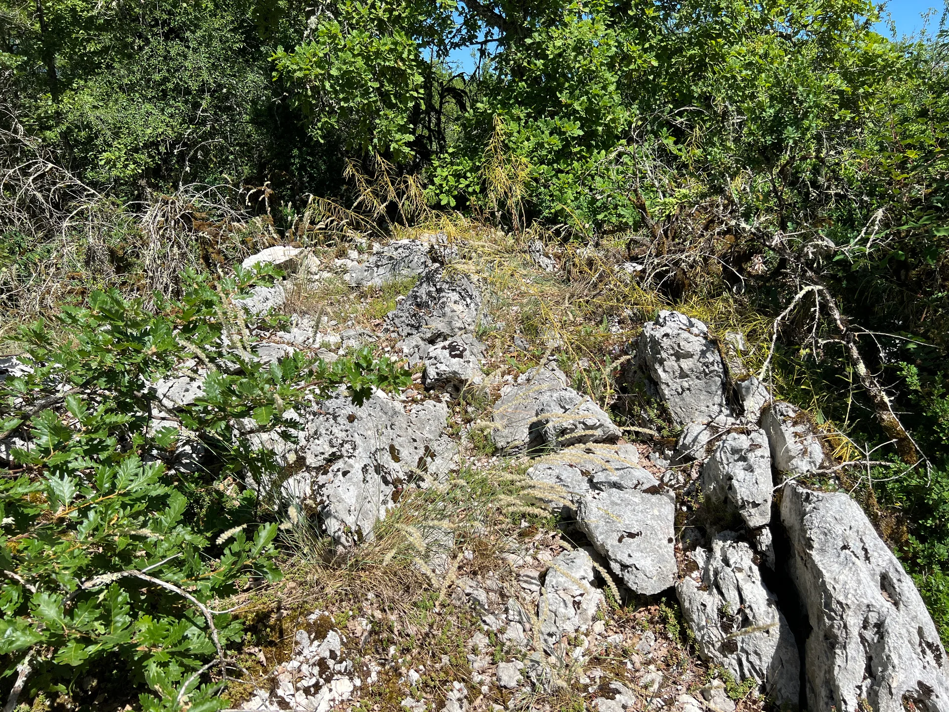 Lac de Chailloux à Contrevoz — À 575 m du lac