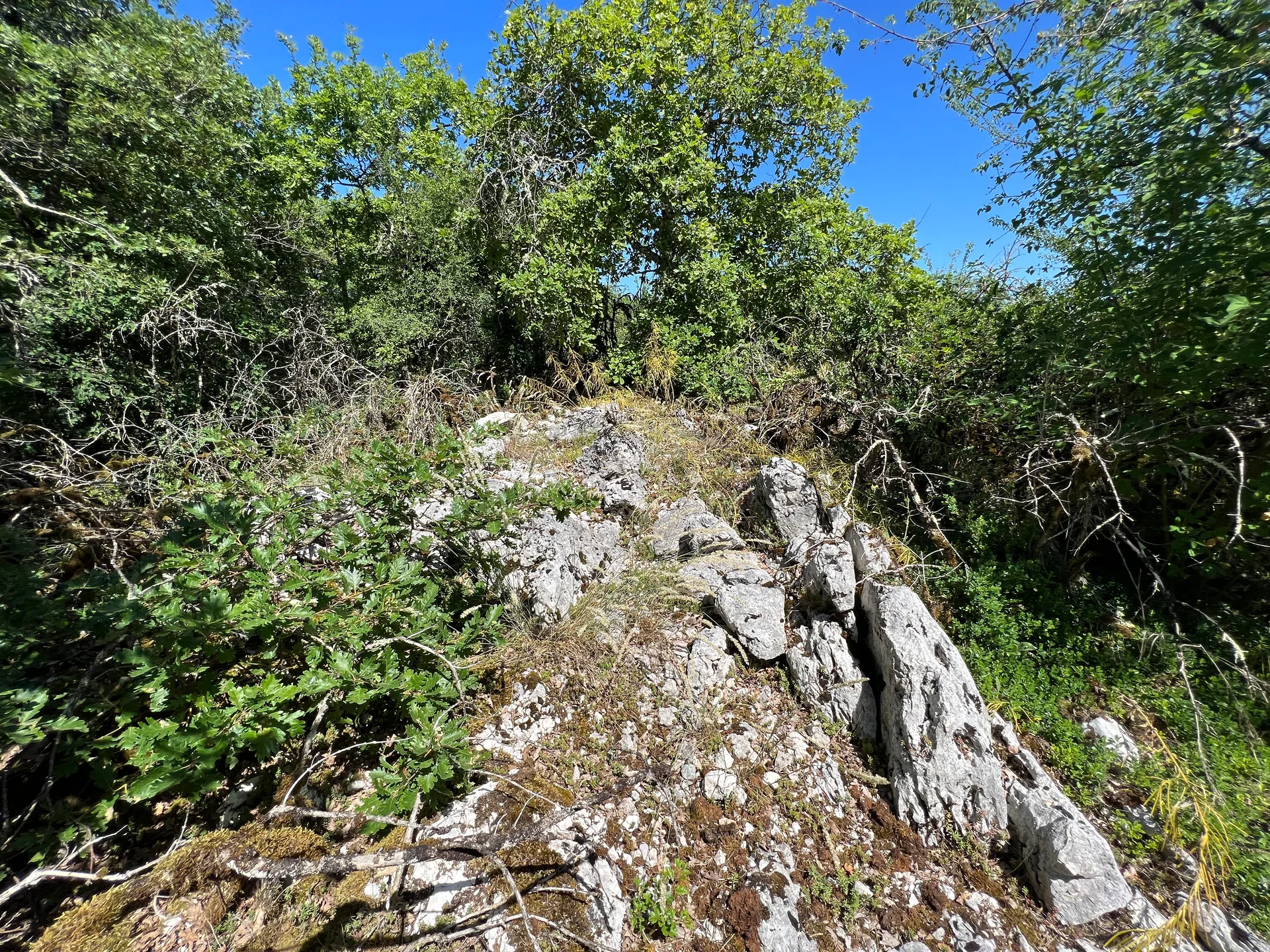 Lac de Chailloux à Contrevoz — À 575 m du lac