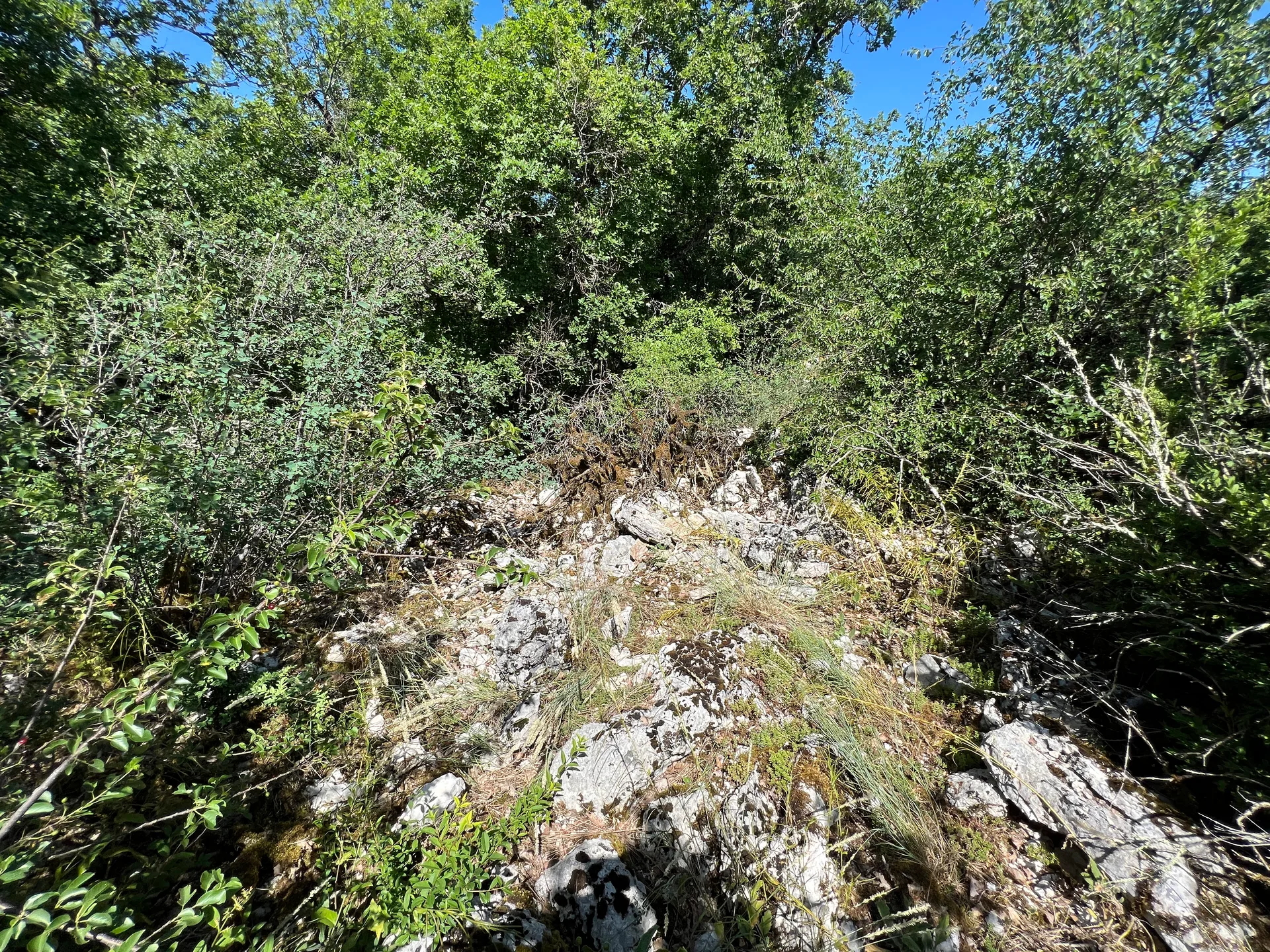 Lac de Chailloux à Contrevoz — À 597 m du lac