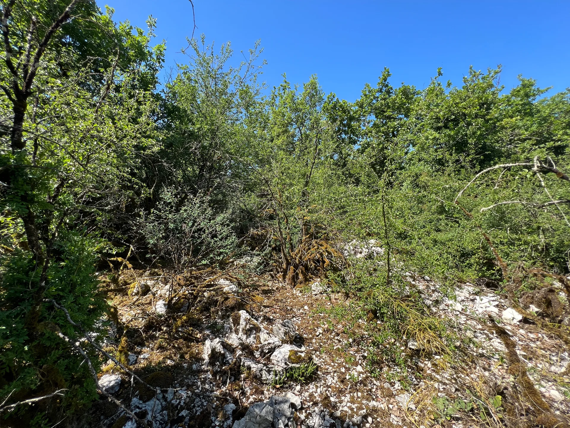 Lac de Chailloux à Contrevoz — À 609 m du lac
