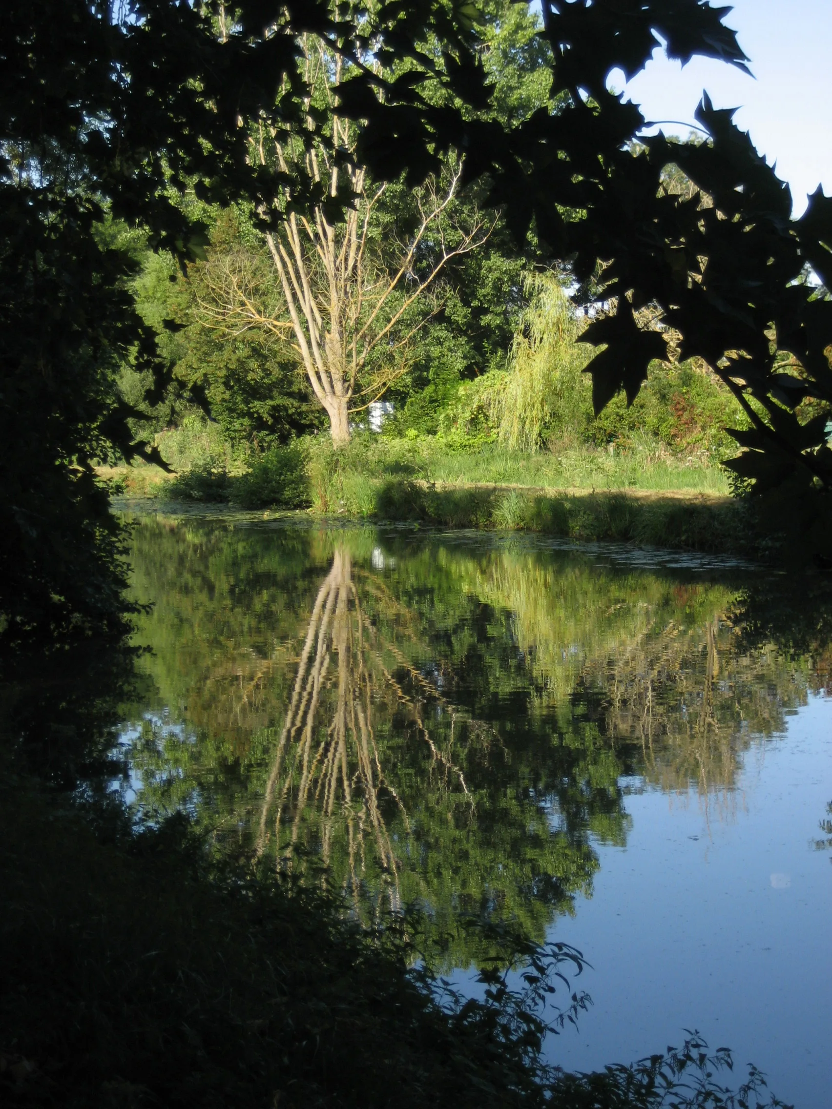Lac de Chalettes à Châlette-sur-Loing — À 343 m du lac